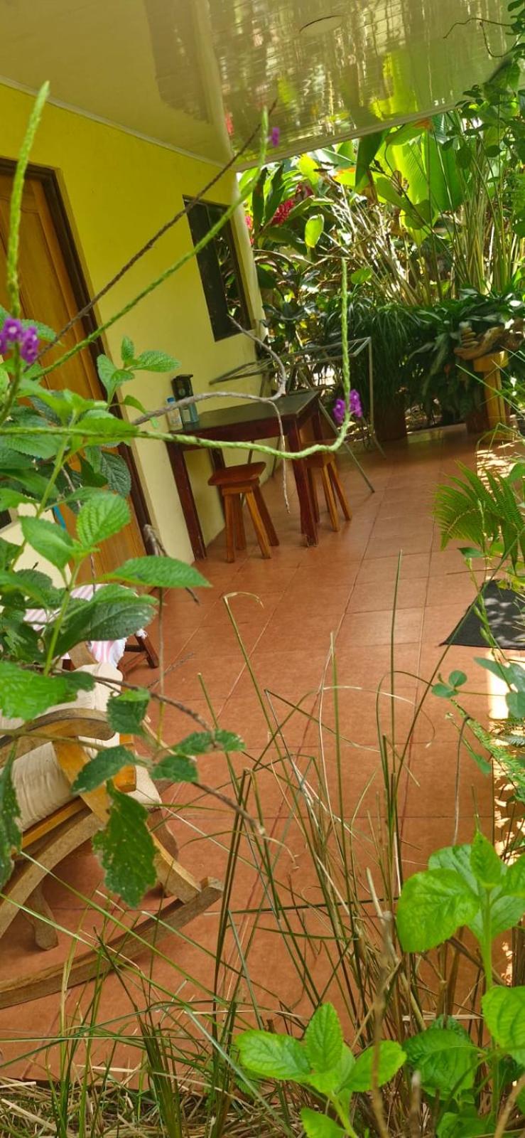 Apartment-Pura Vida-Wi-Fi-TV-WC-AC-Parqueo
