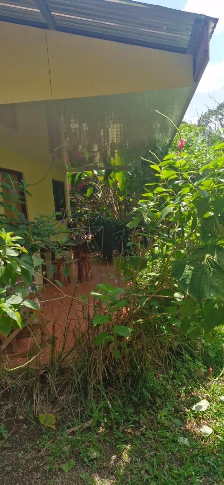 Apartment-Pura Vida-Wi-Fi-TV-WC-AC-Parqueo