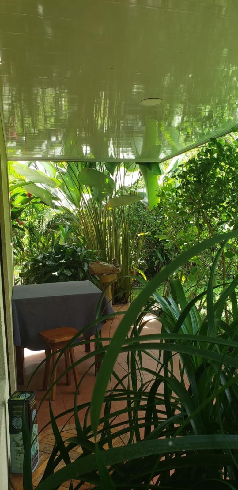 Apartment-Pura Vida-Wi-Fi-TV-WC-AC-Parqueo
