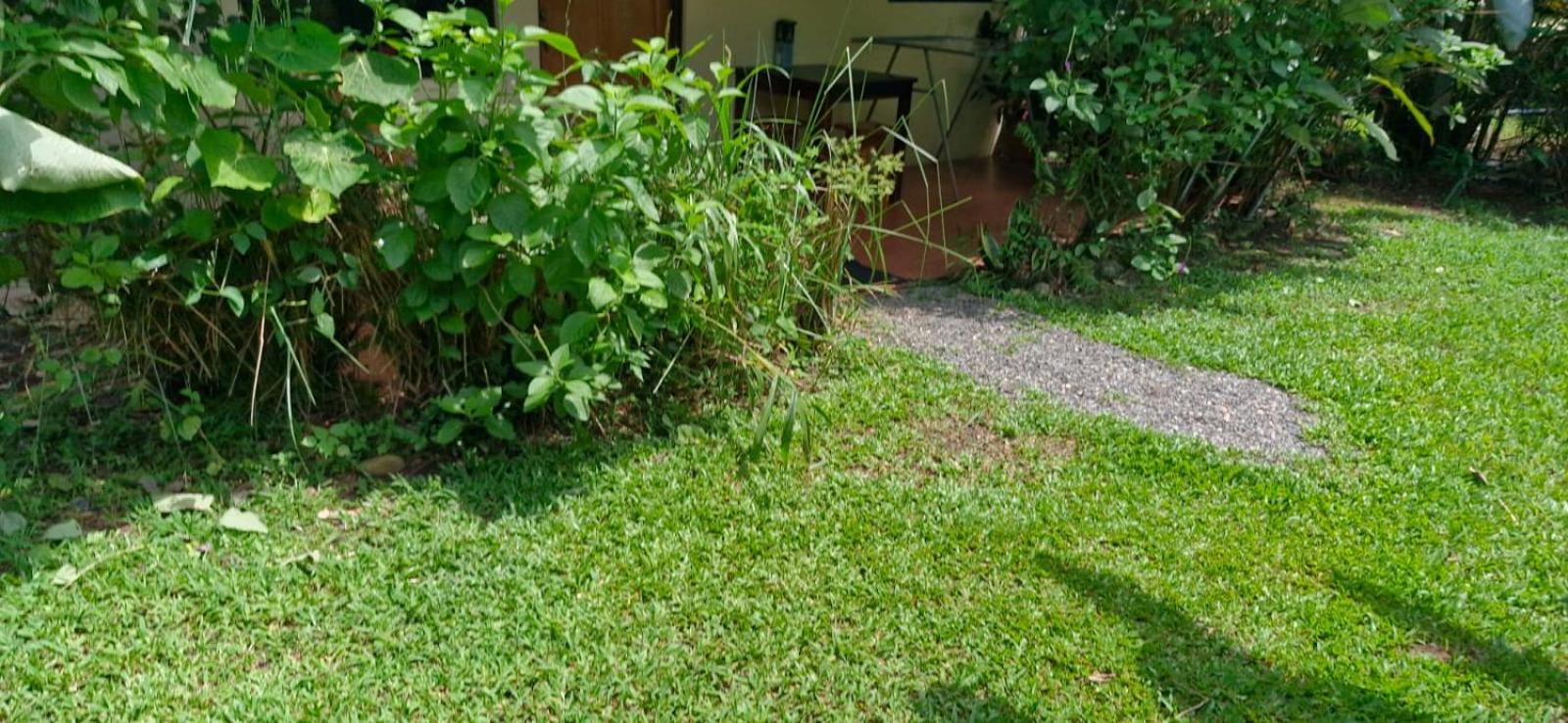 Apartment-Pura Vida-Wi-Fi-TV-WC-AC-Parqueo