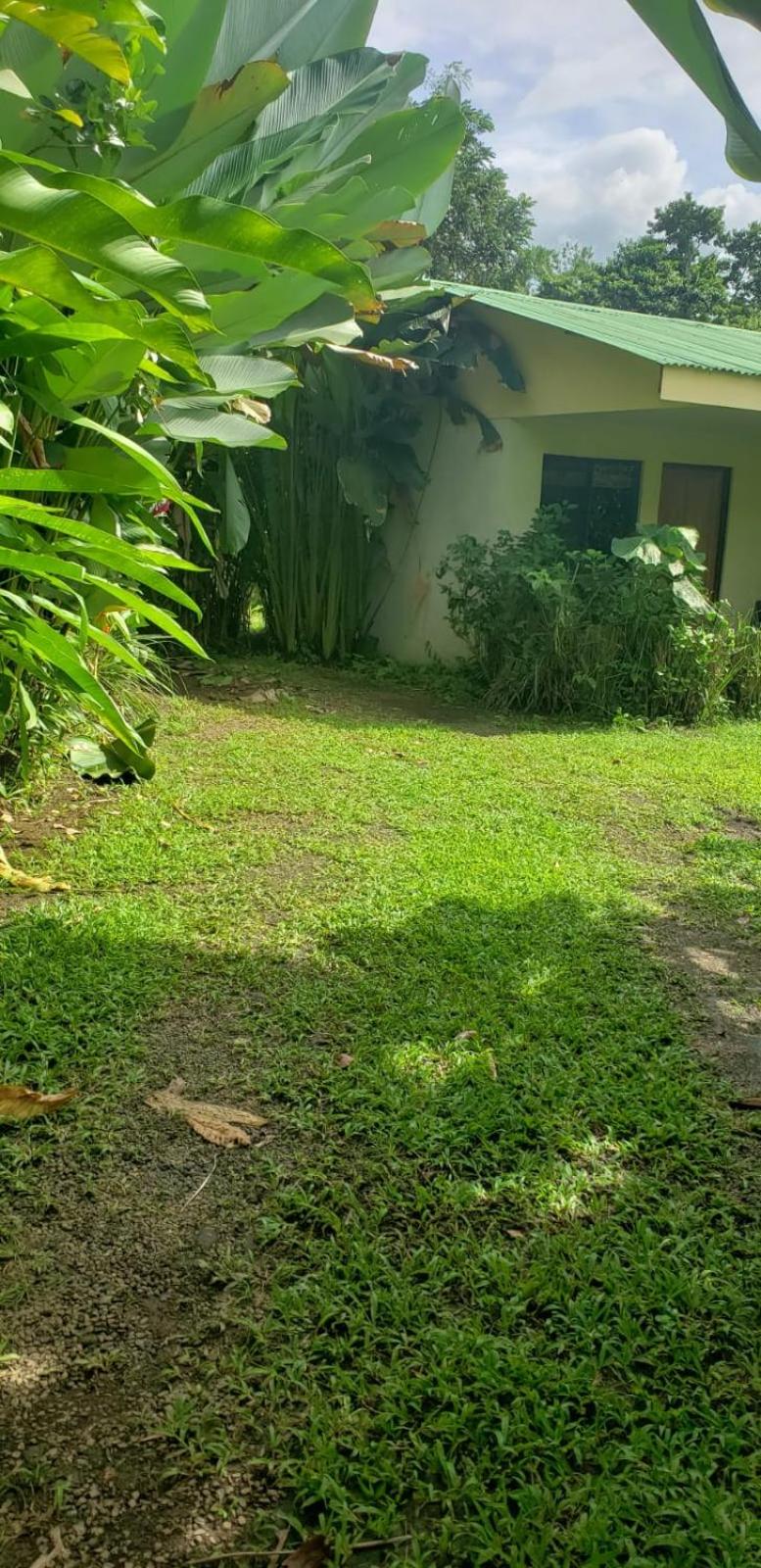 Apartment-Pura Vida-Wi-Fi-TV-WC-AC-Parqueo