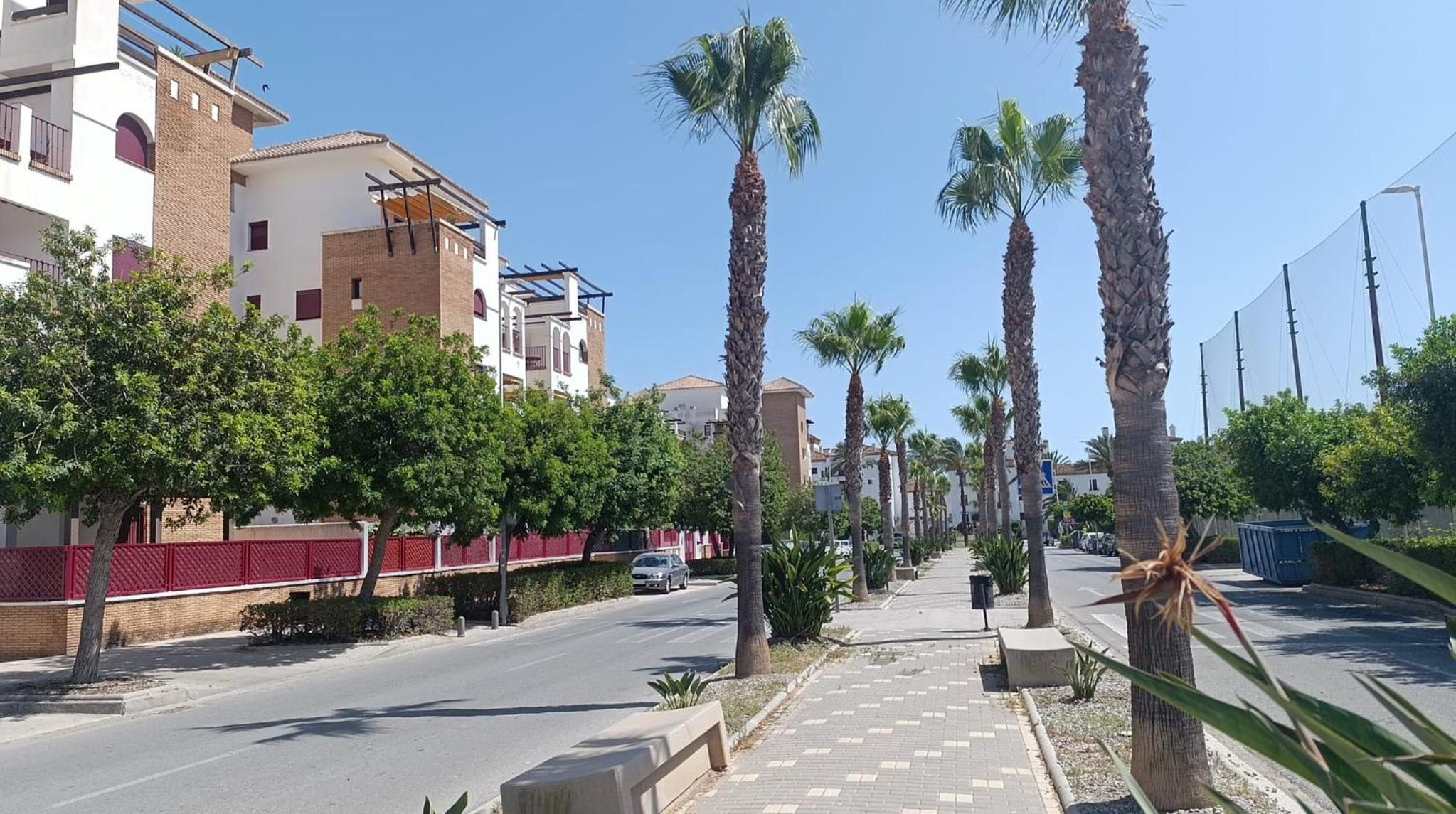 Apartamento en Playa Granada
