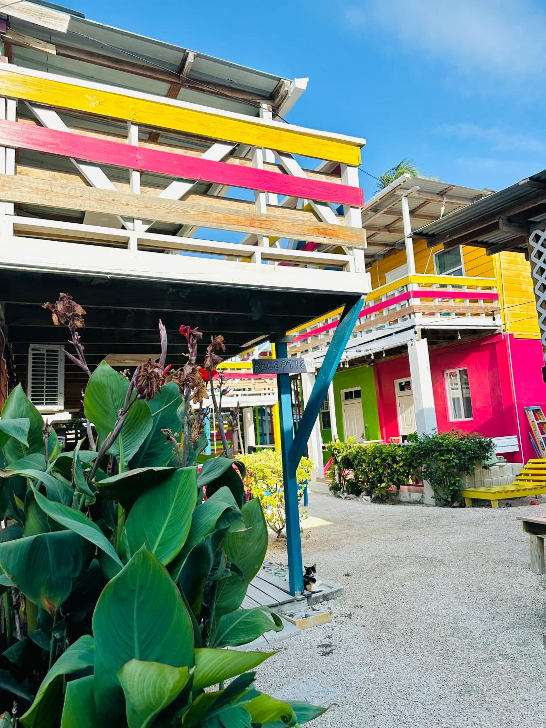 Go Slow Guesthouse