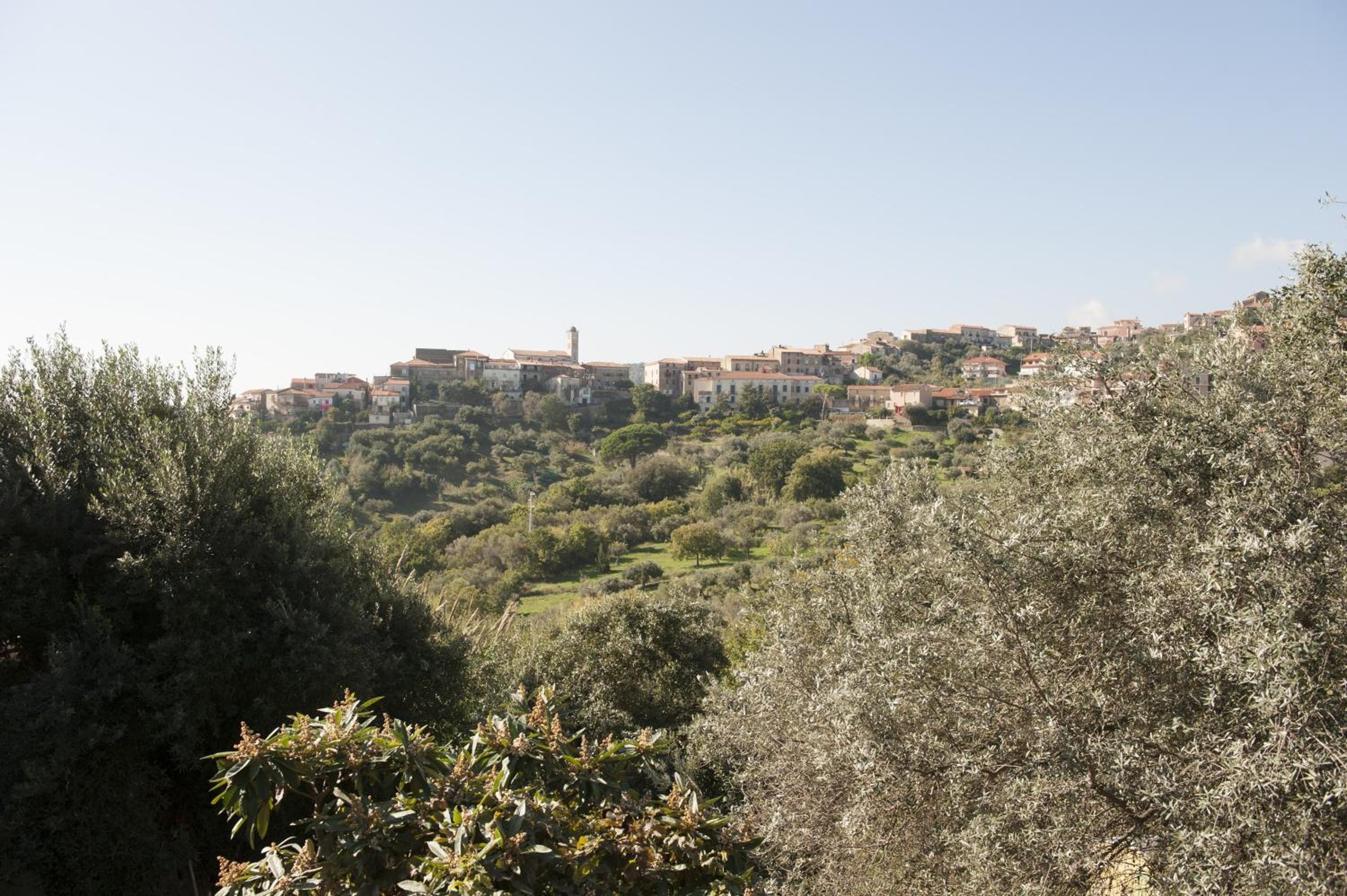 Casa Lippi