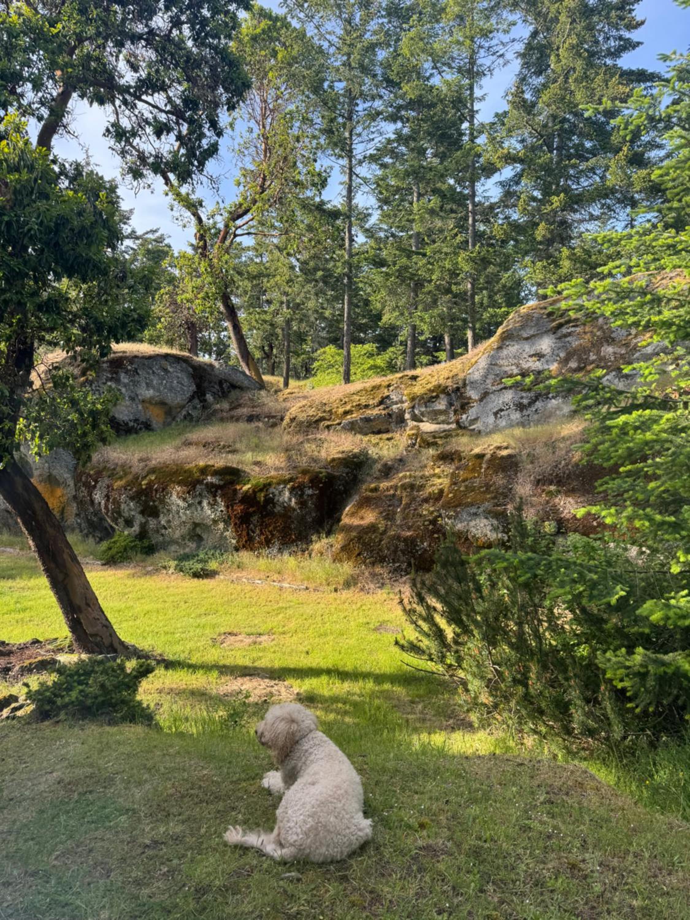 Sahhali on the Bluffs