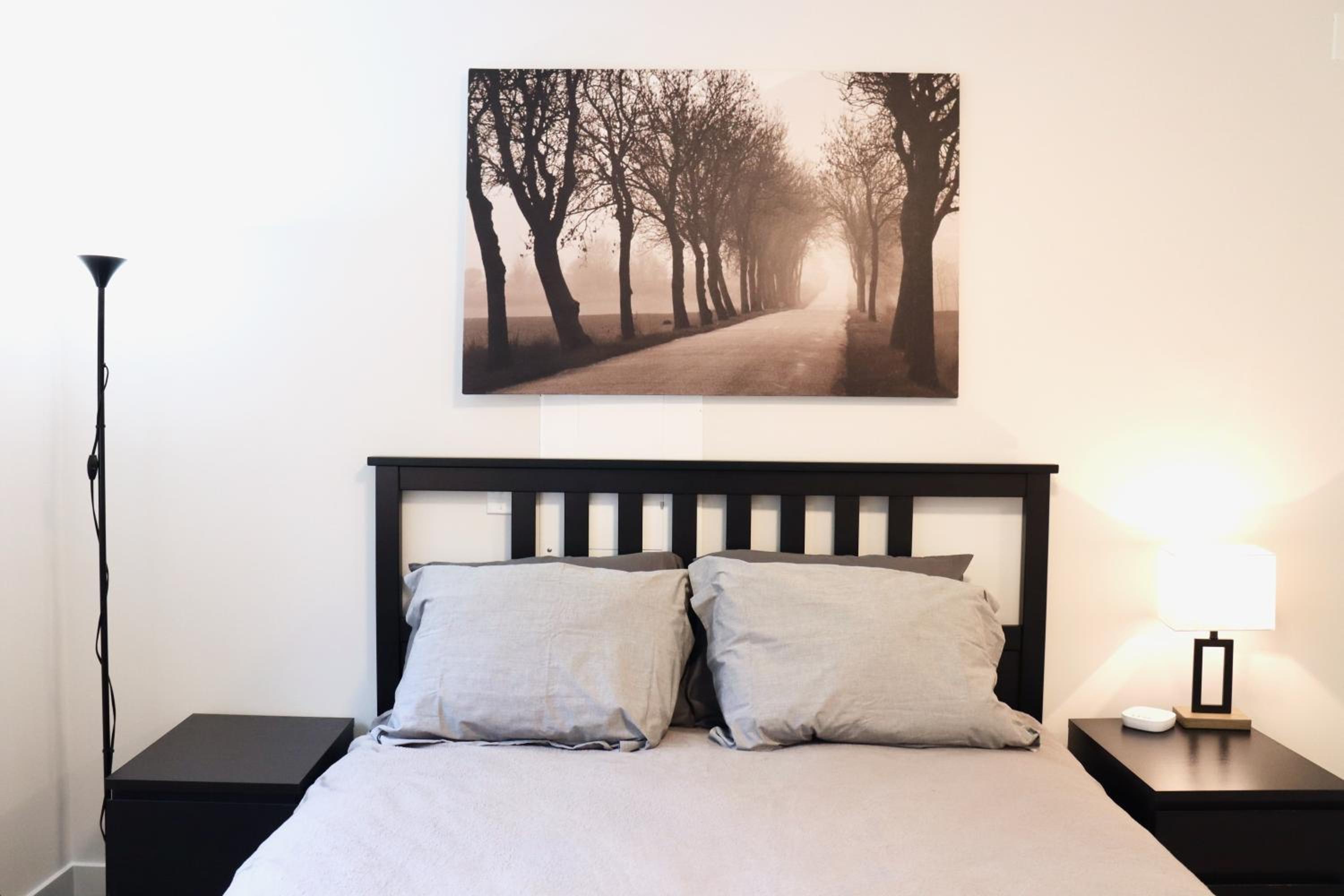 Centrally Located Modern Suite