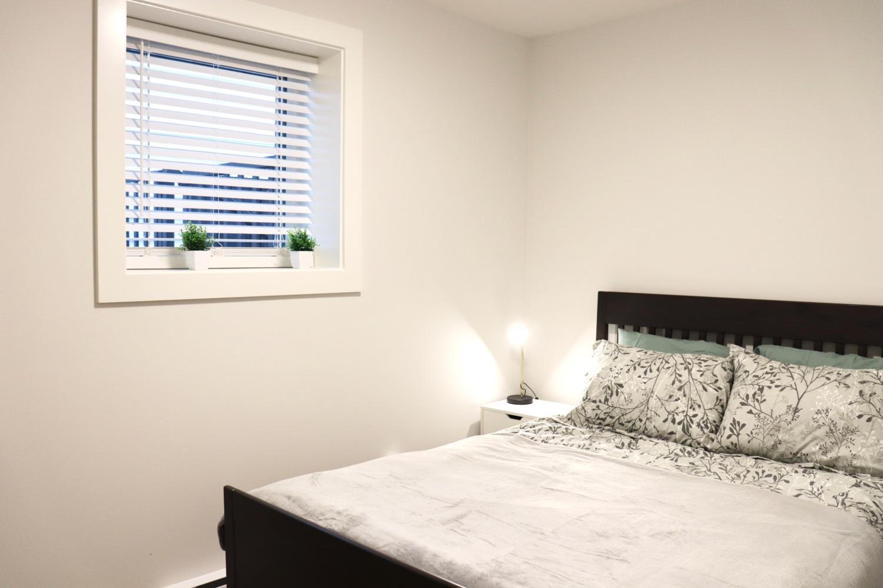 Centrally Located Modern Suite