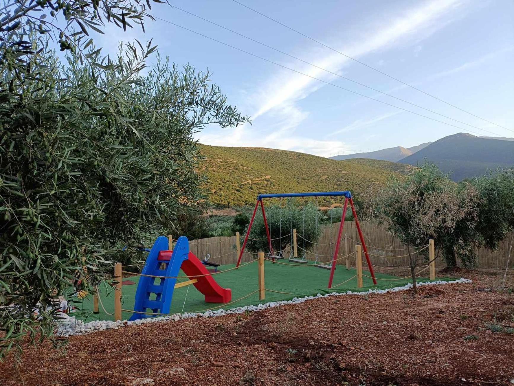 Photo 25