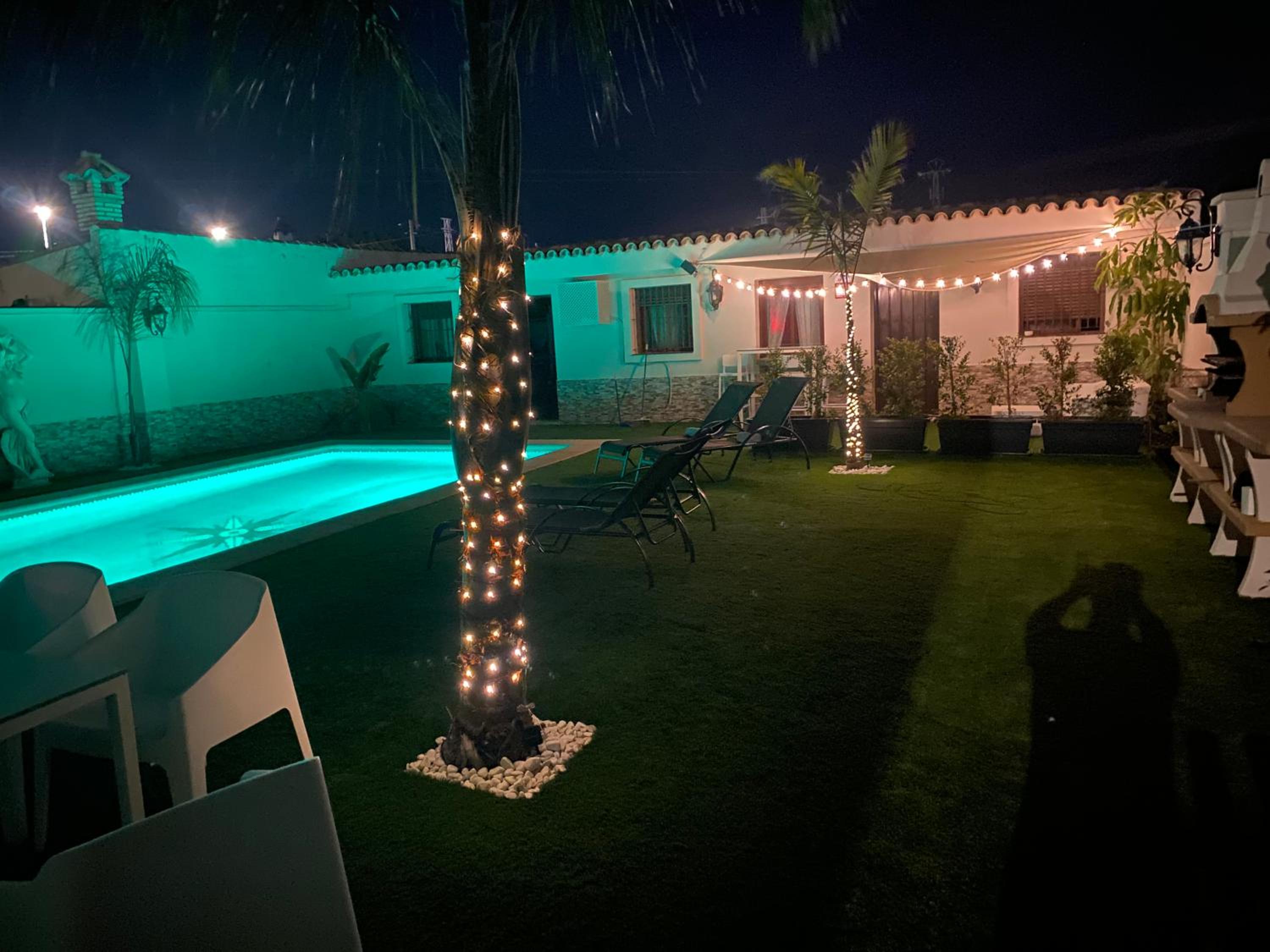 Musa del Paraíso