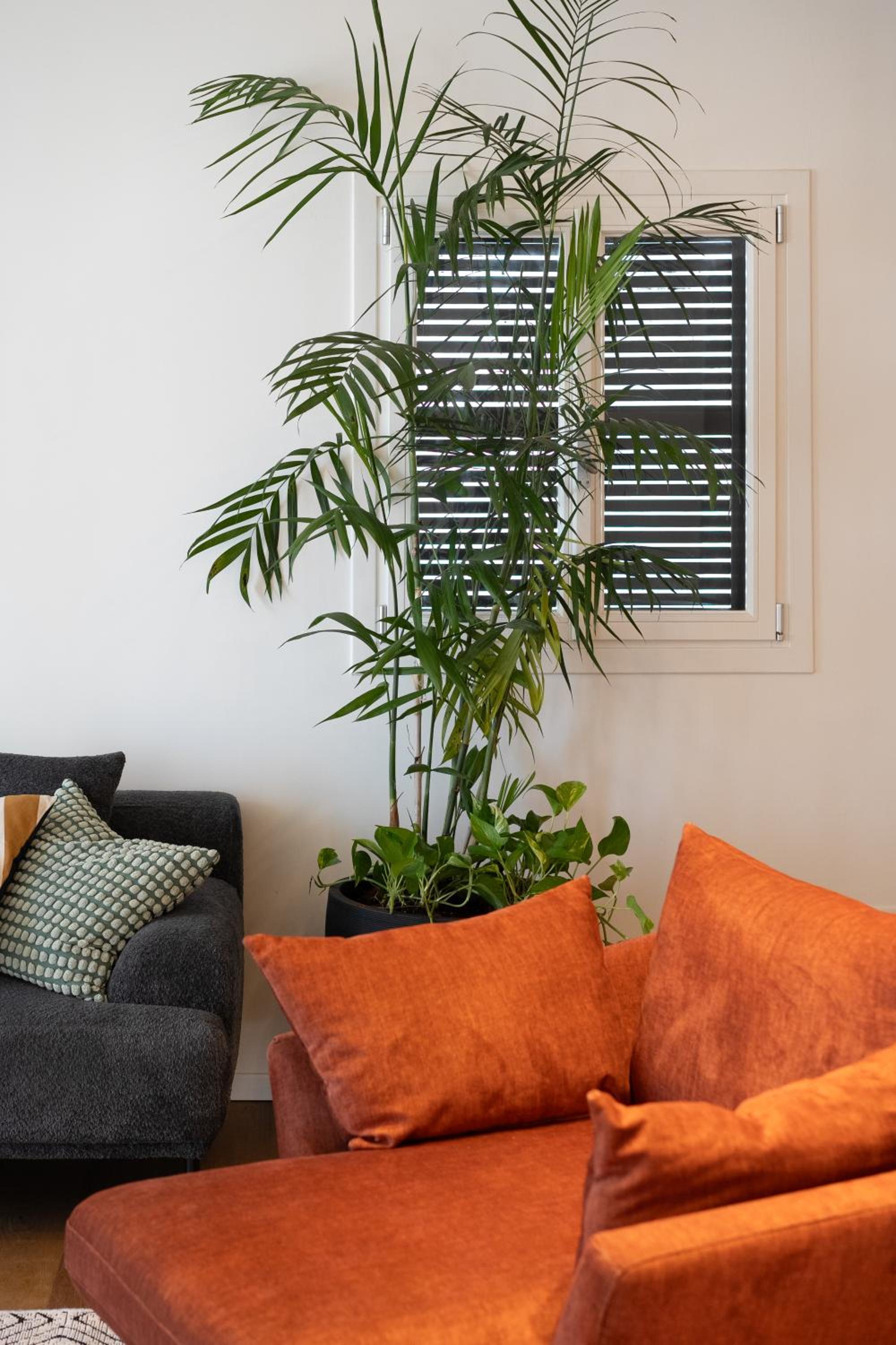 Hayarkon penthouse