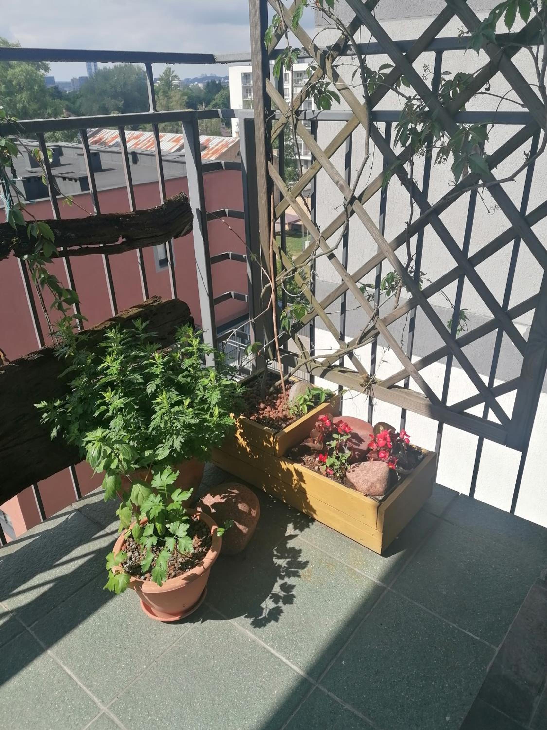 Jauki erdvĖ view 3