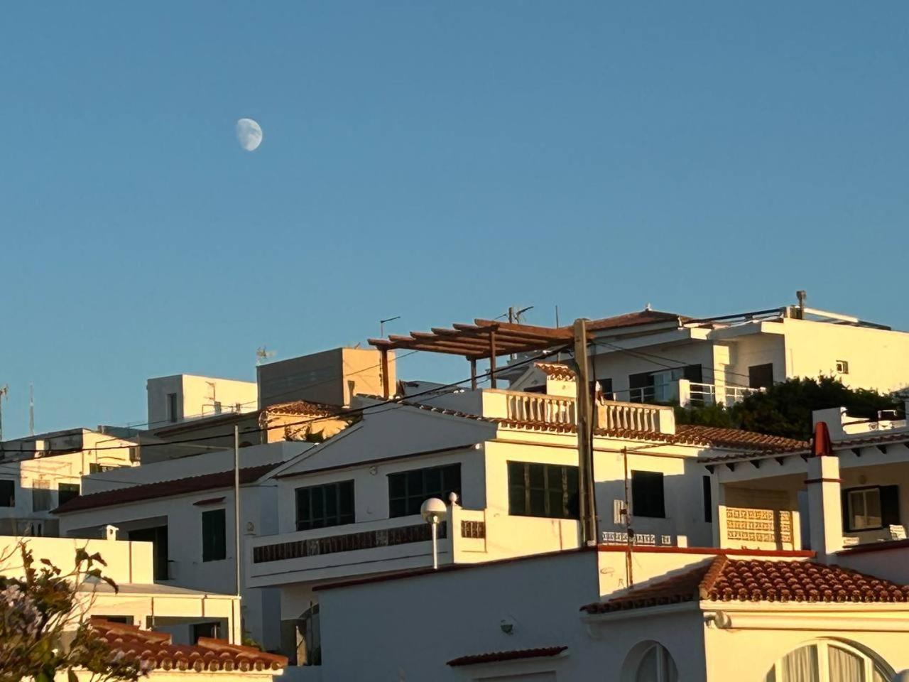 Es Grau Lamorino