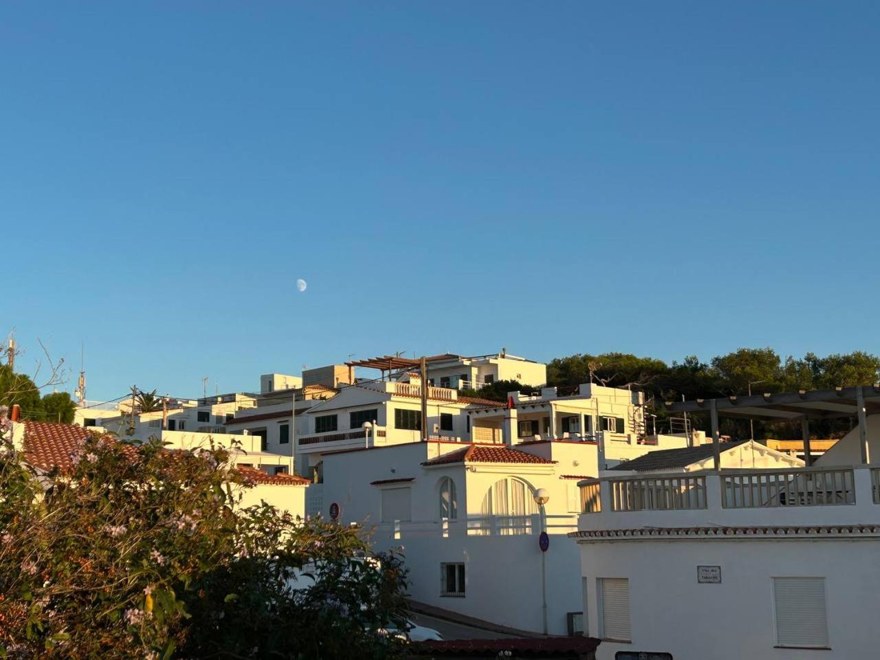 Es Grau Lamorino