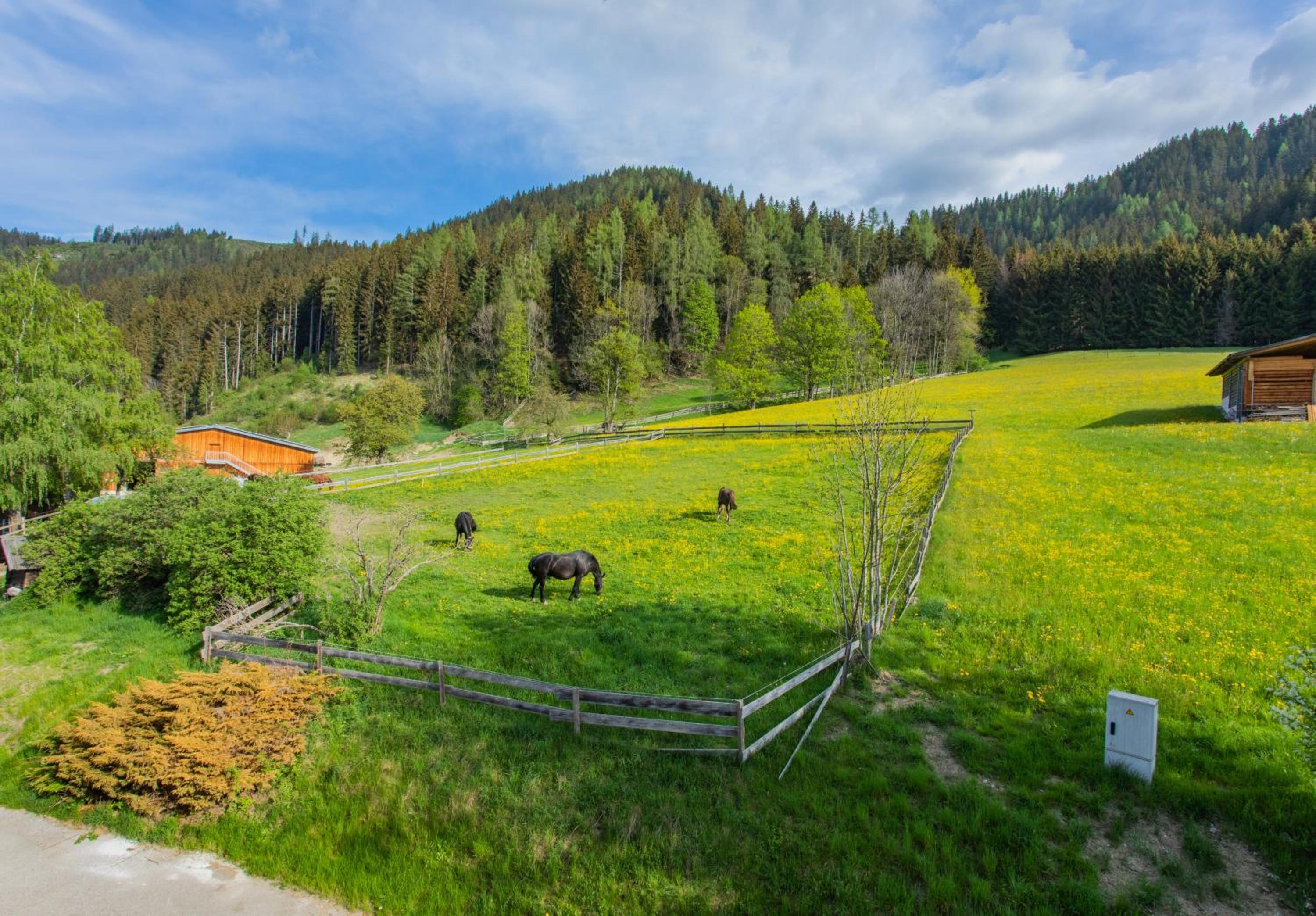 Huberhof 1 by Alpenidyll Apartments