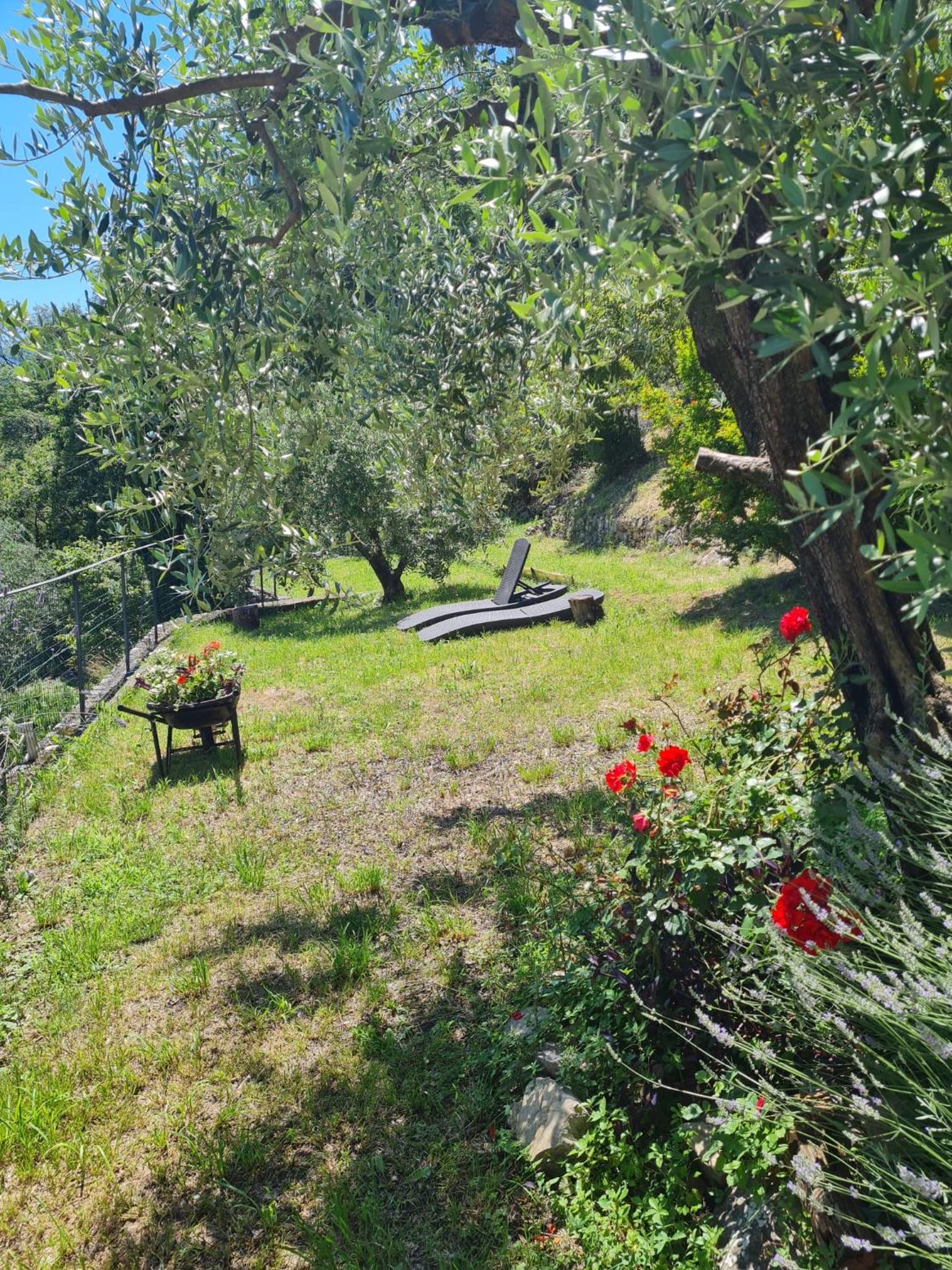 Photo 45