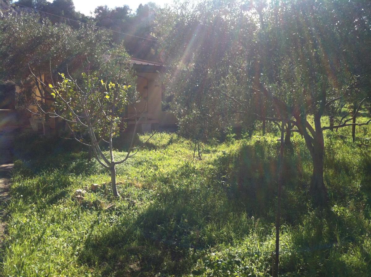Photo 28