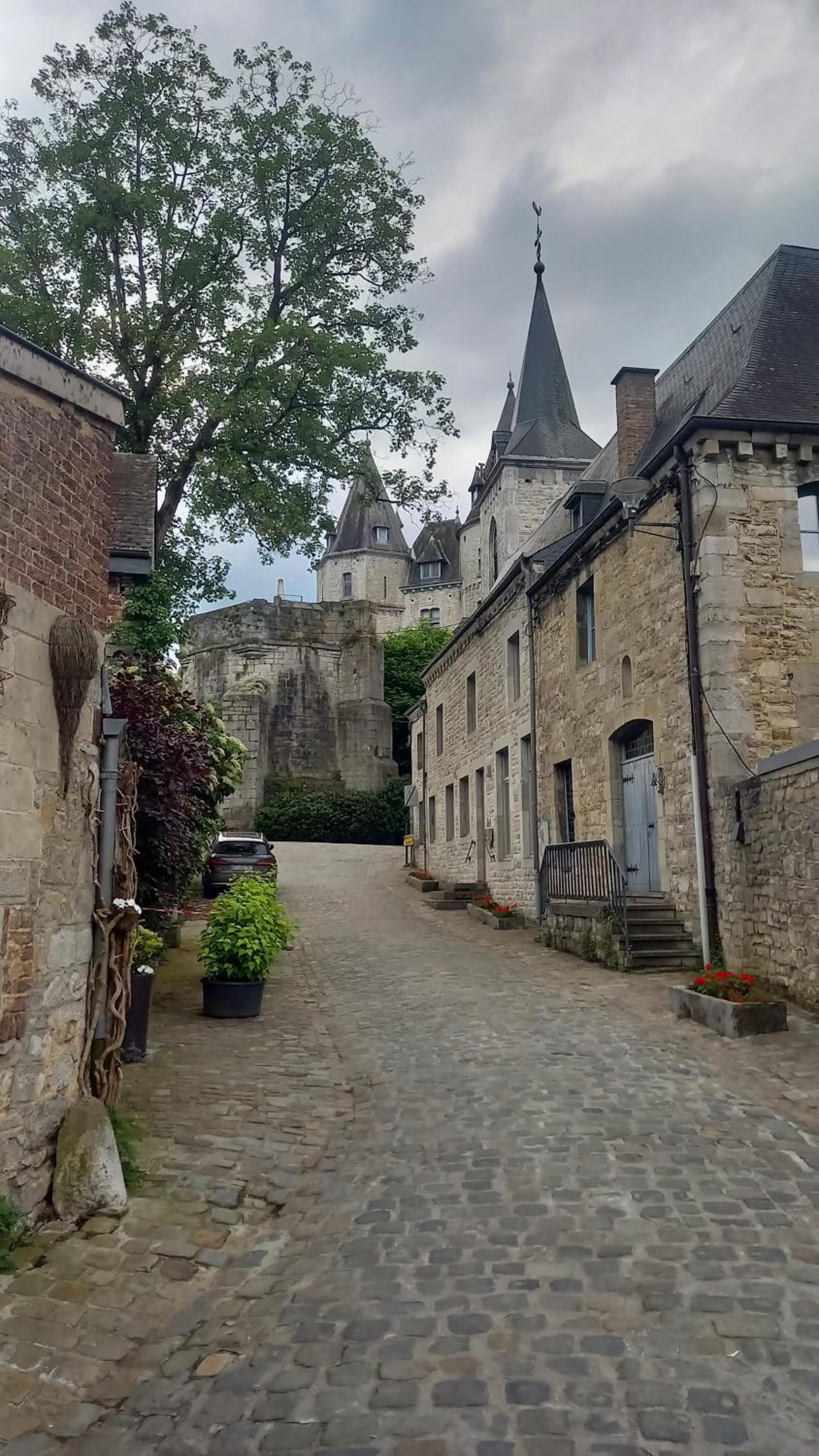 Maison Tronchiennes