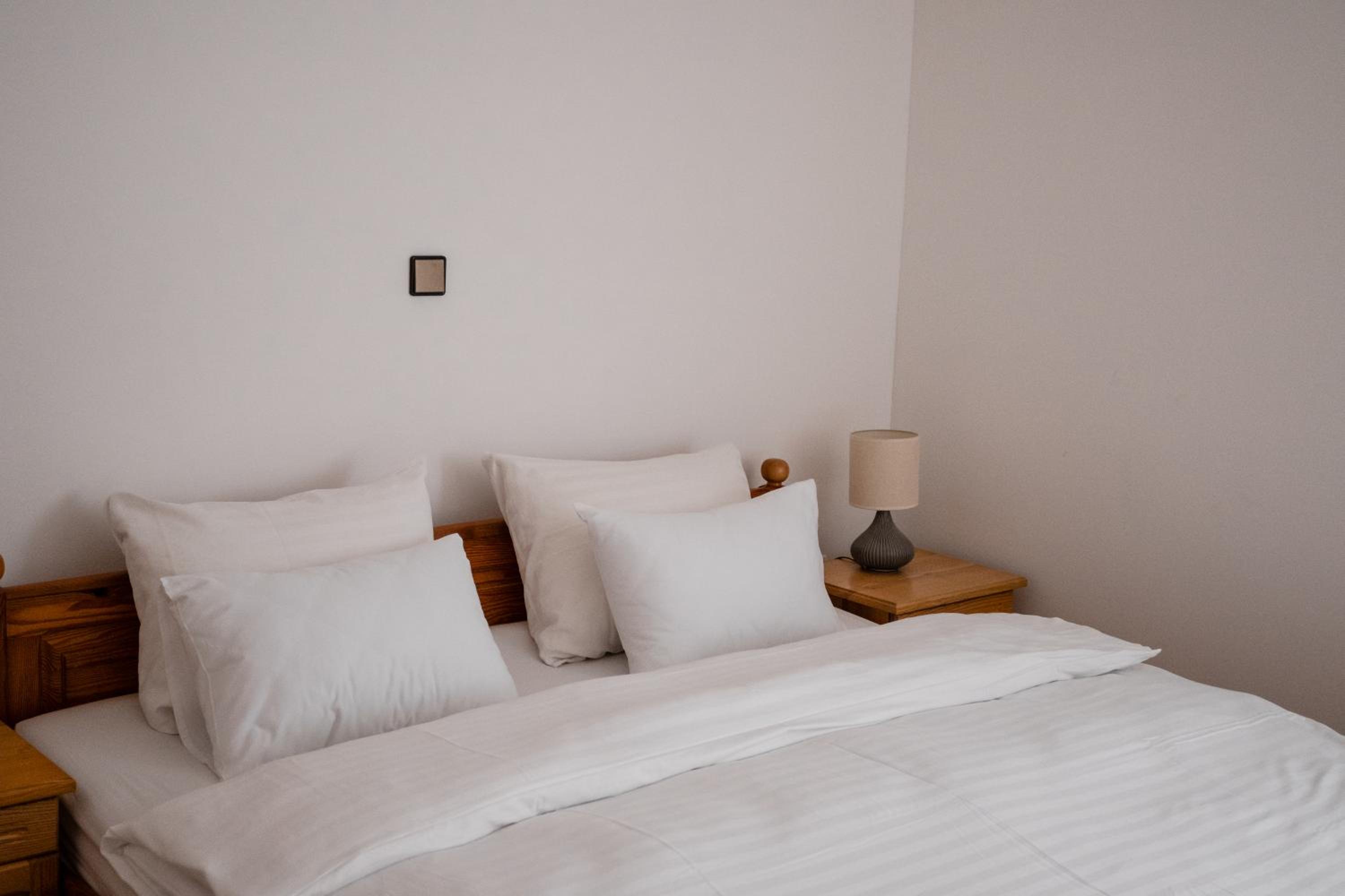 Brodnik Apartment