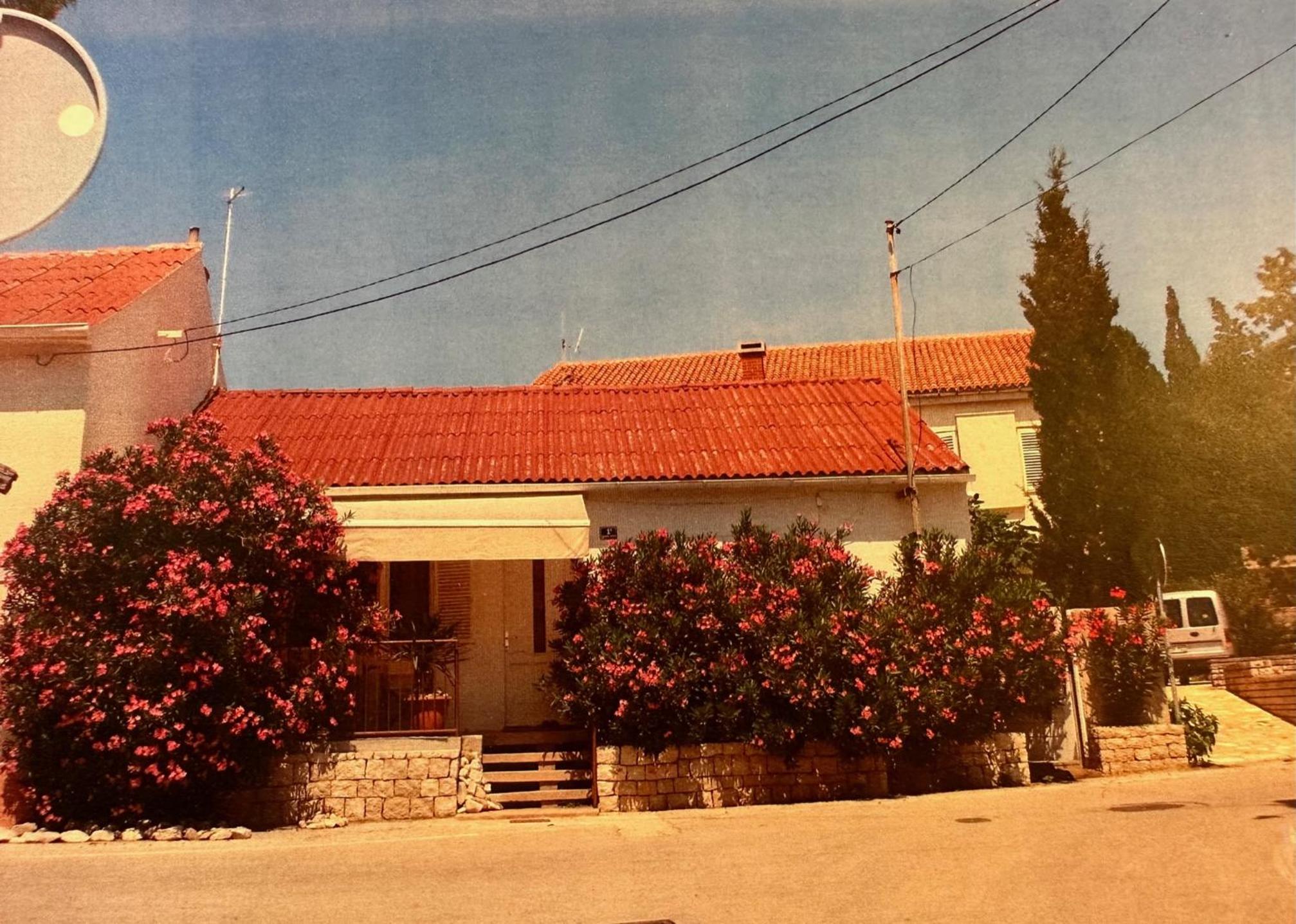 Apartment Oleander