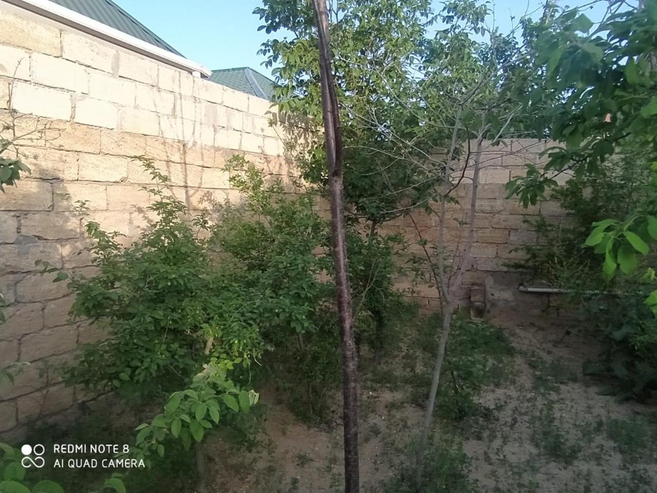Novxanı