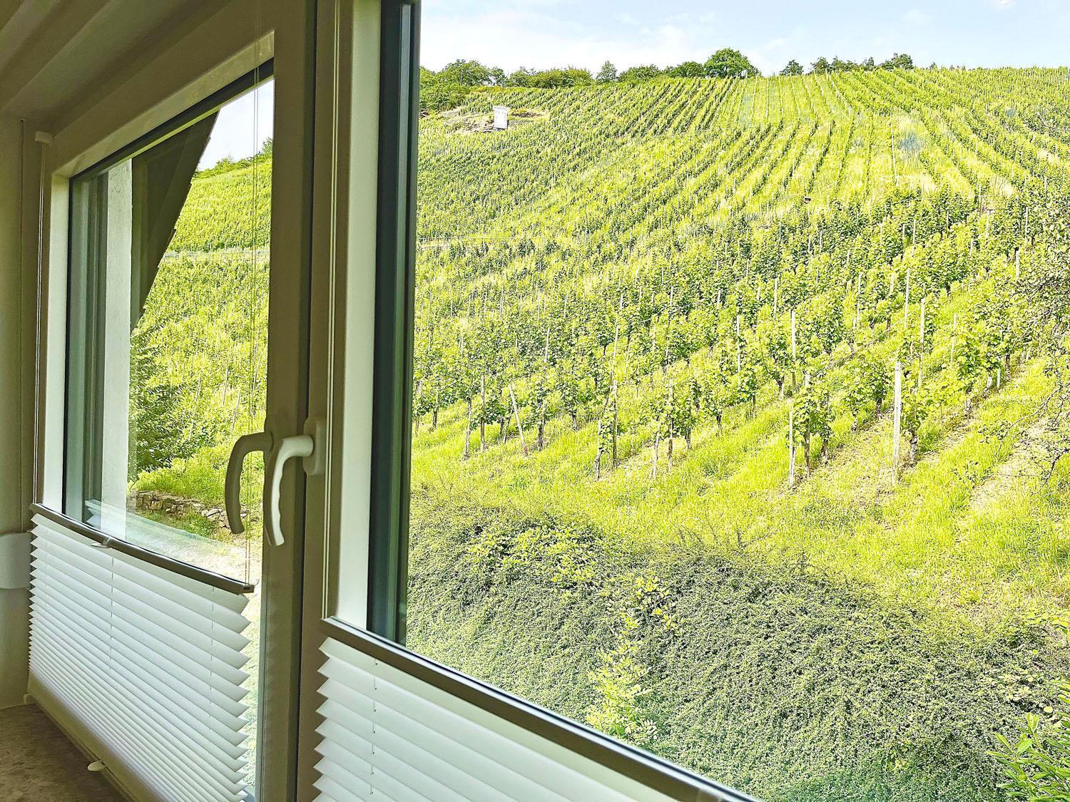 Ferienwohnung 1595 im Weingut Botzet