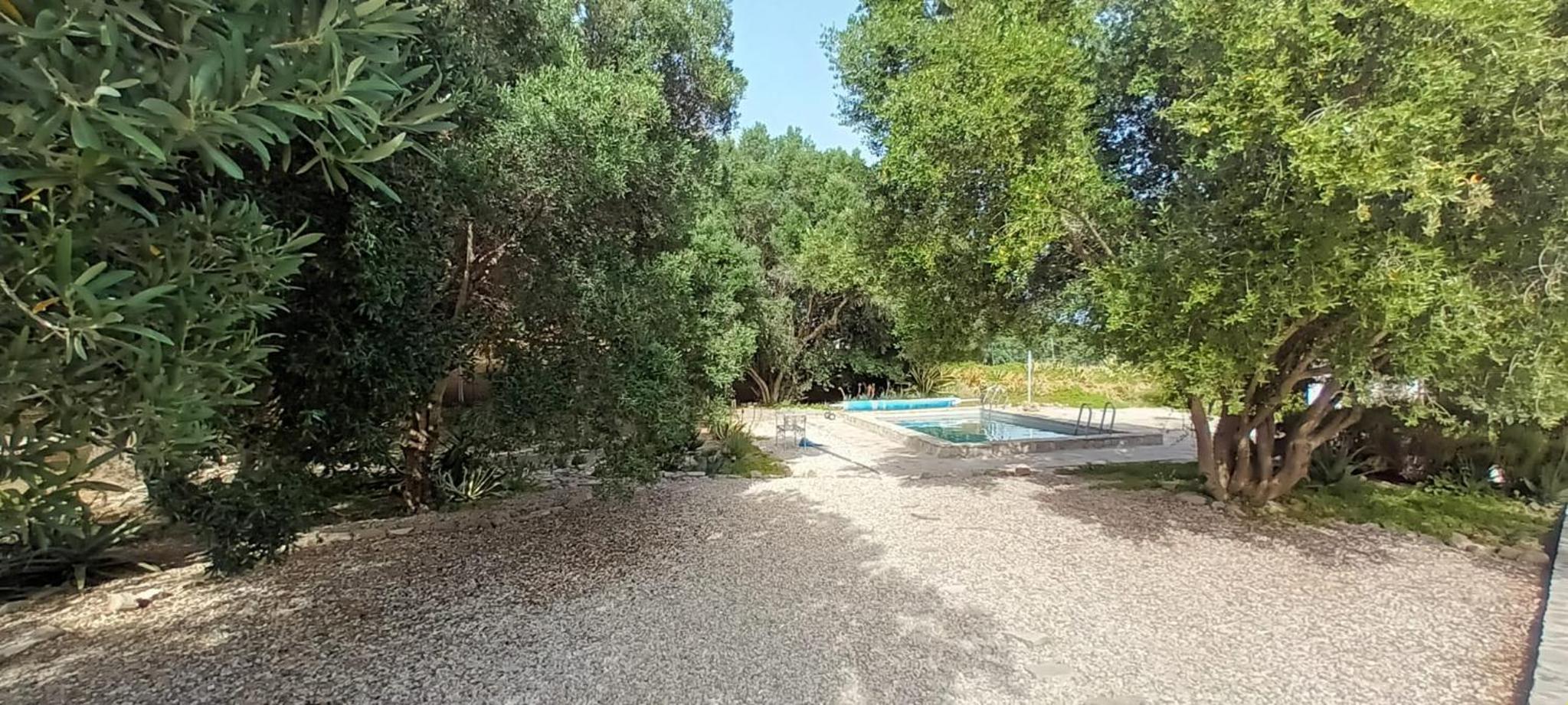 Finca Paraiso