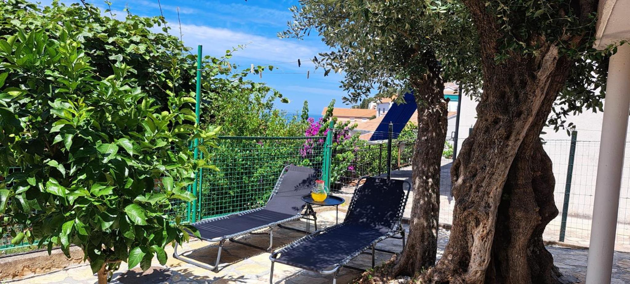 Maslina Home view 5
