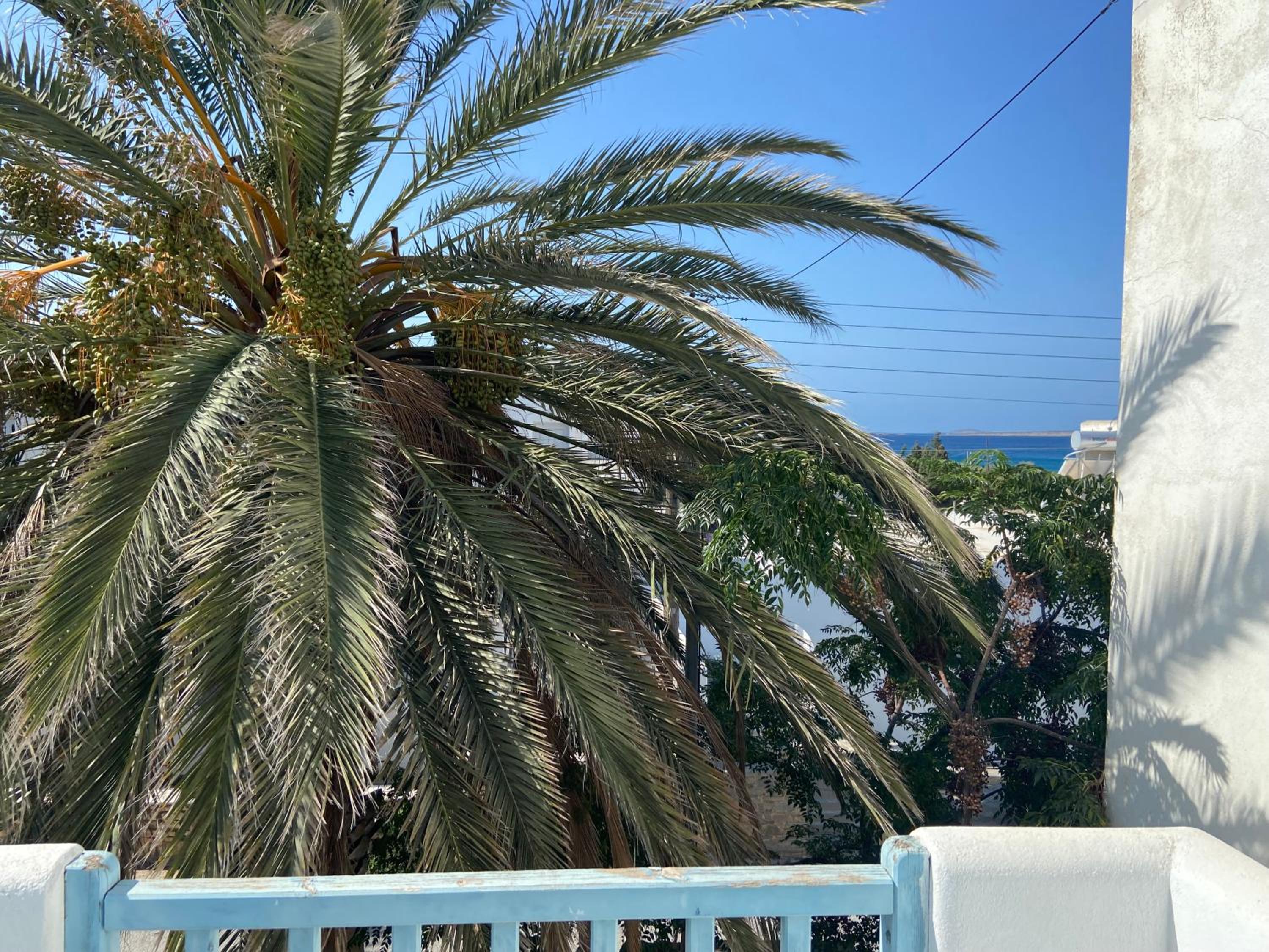 Ekaterini apartment in Aliki view 4