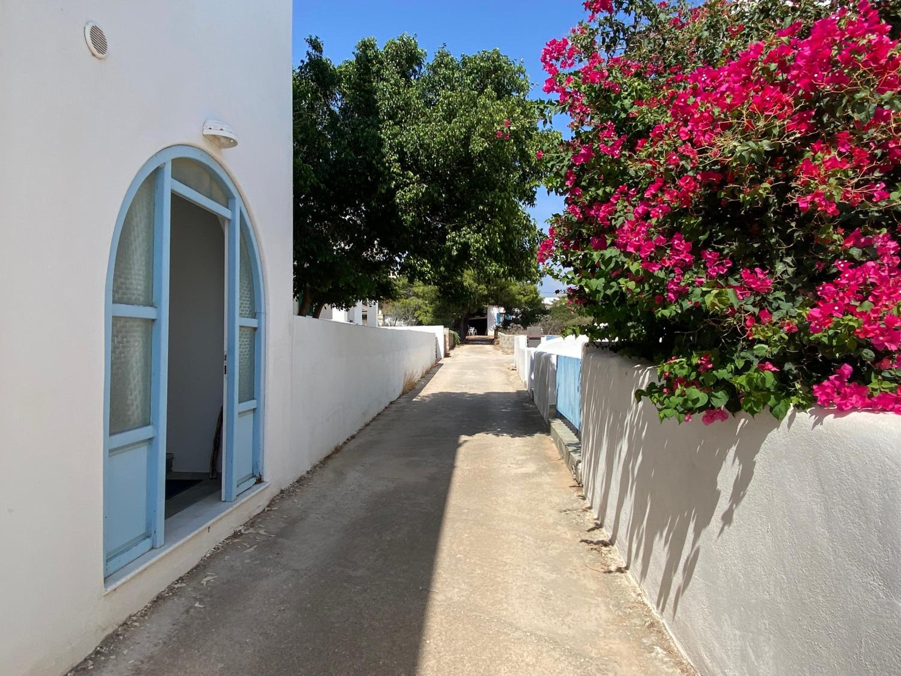 Ekaterini apartment in Aliki view 2