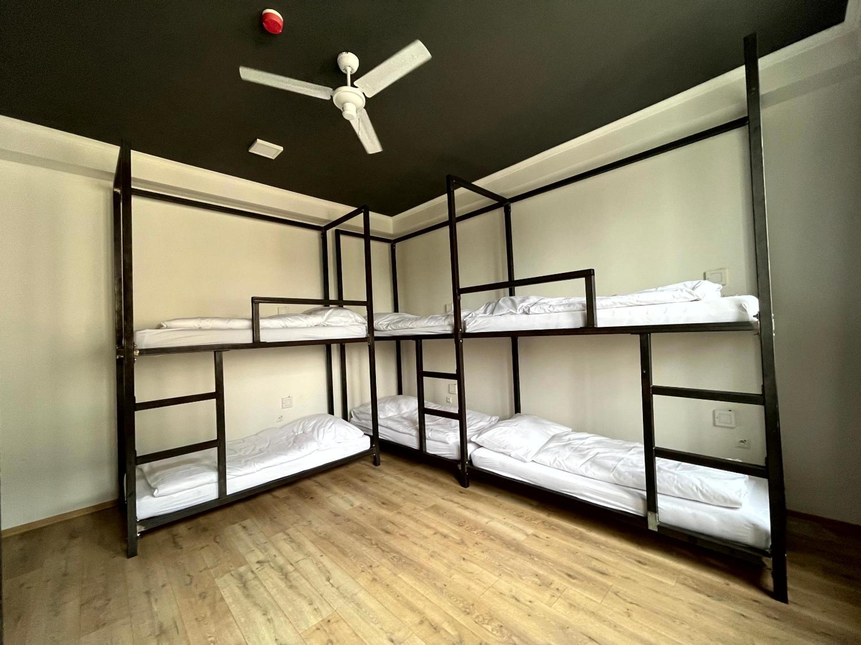 Hostel Waltz view 4