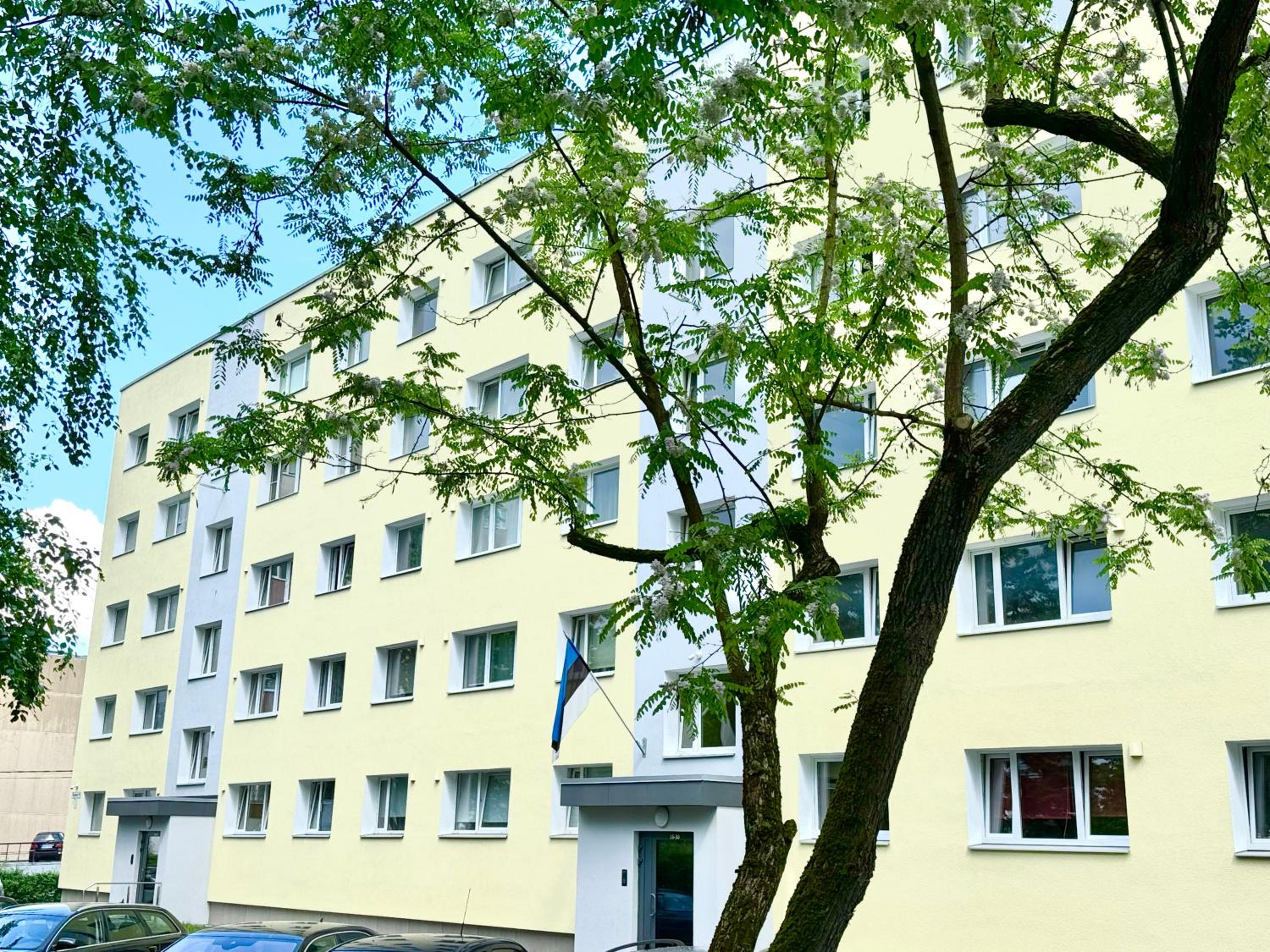 Hotel Aardla Cozy Apartment - Image 1