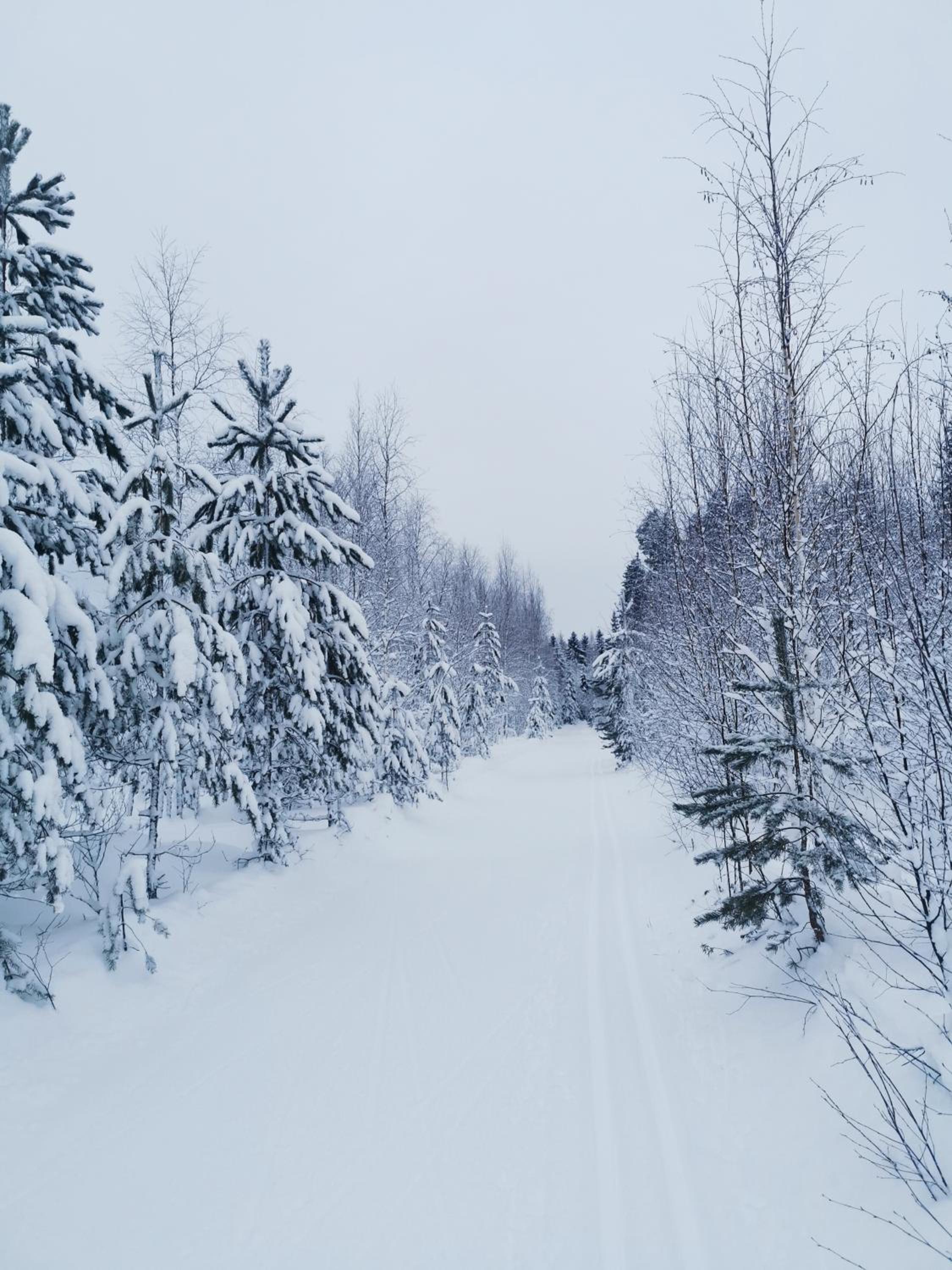 Mökki Rantasalmella Saimaan rannalla