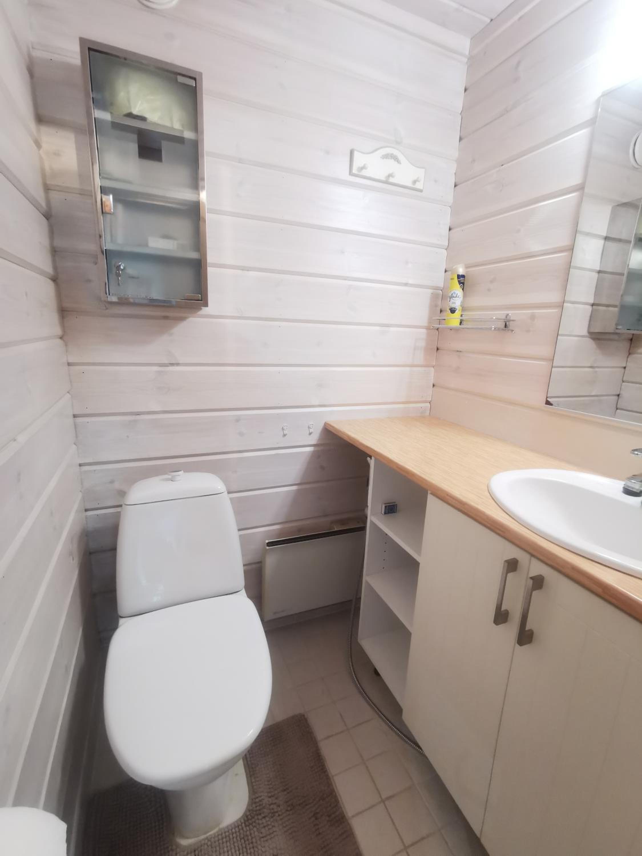 Mökki Rantasalmella Saimaan rannalla