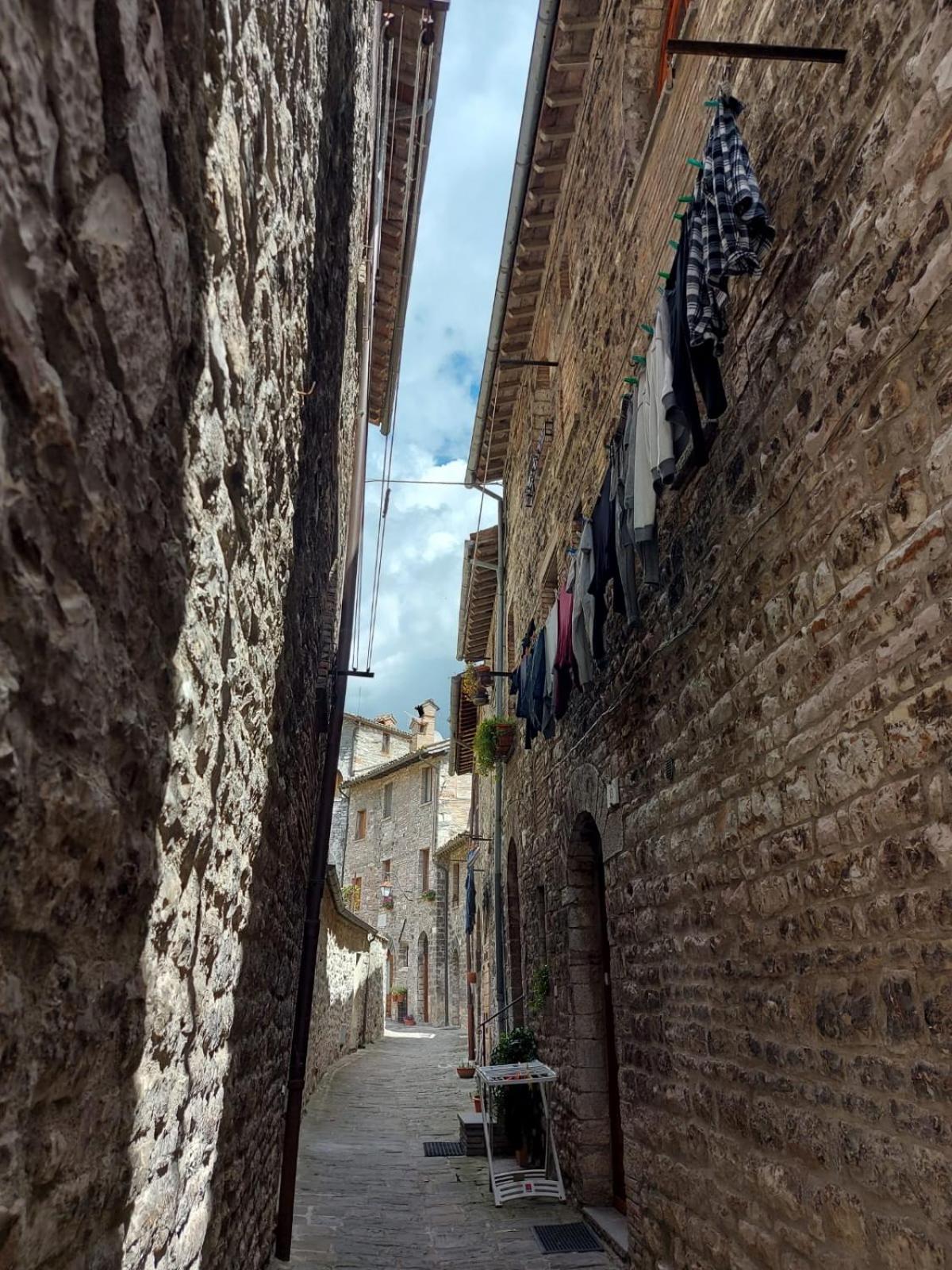 Photo 53
