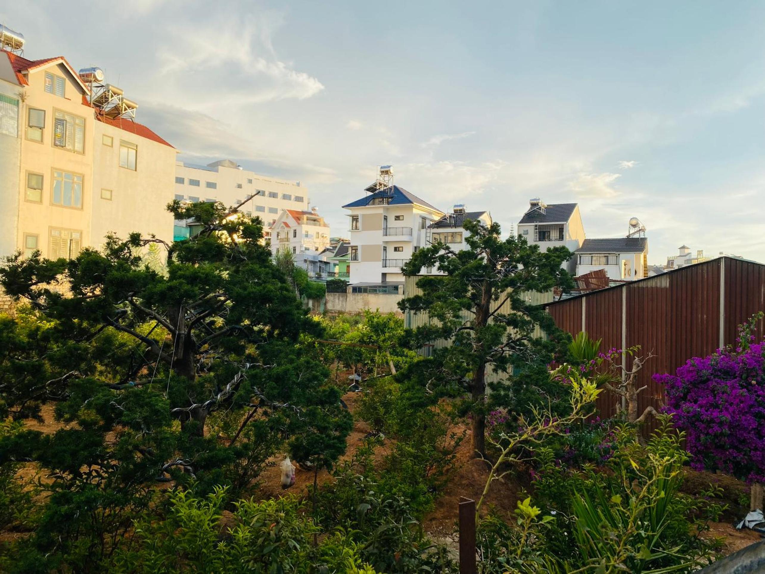 Nhà nguyên căn Đà Lạt - LG1 view 3