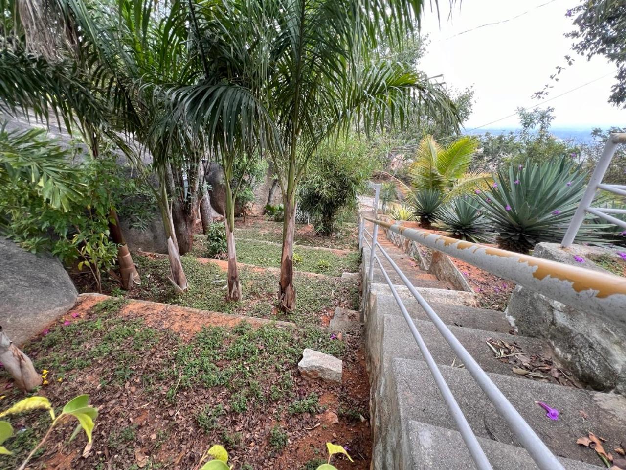 Photo 31