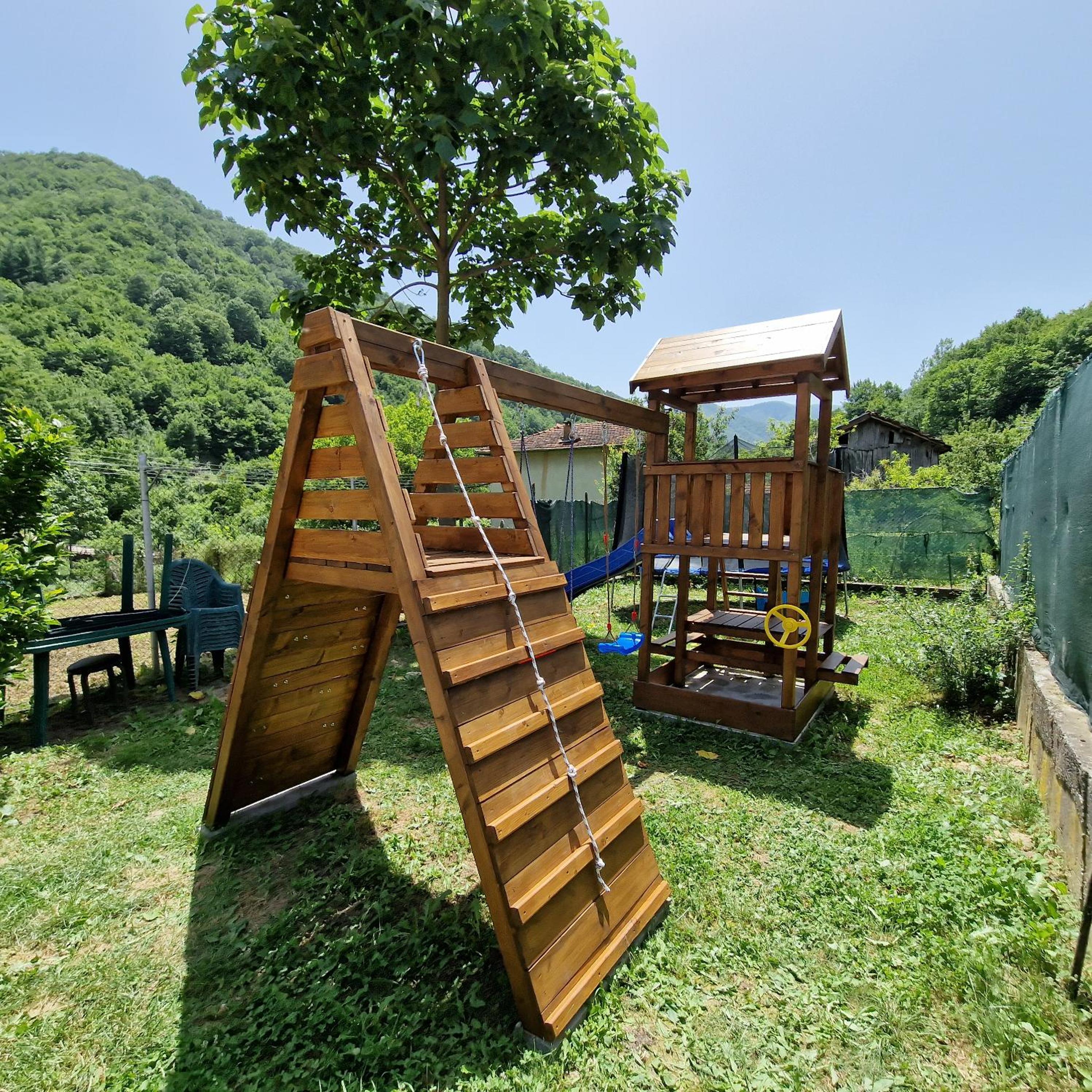 Photo 7