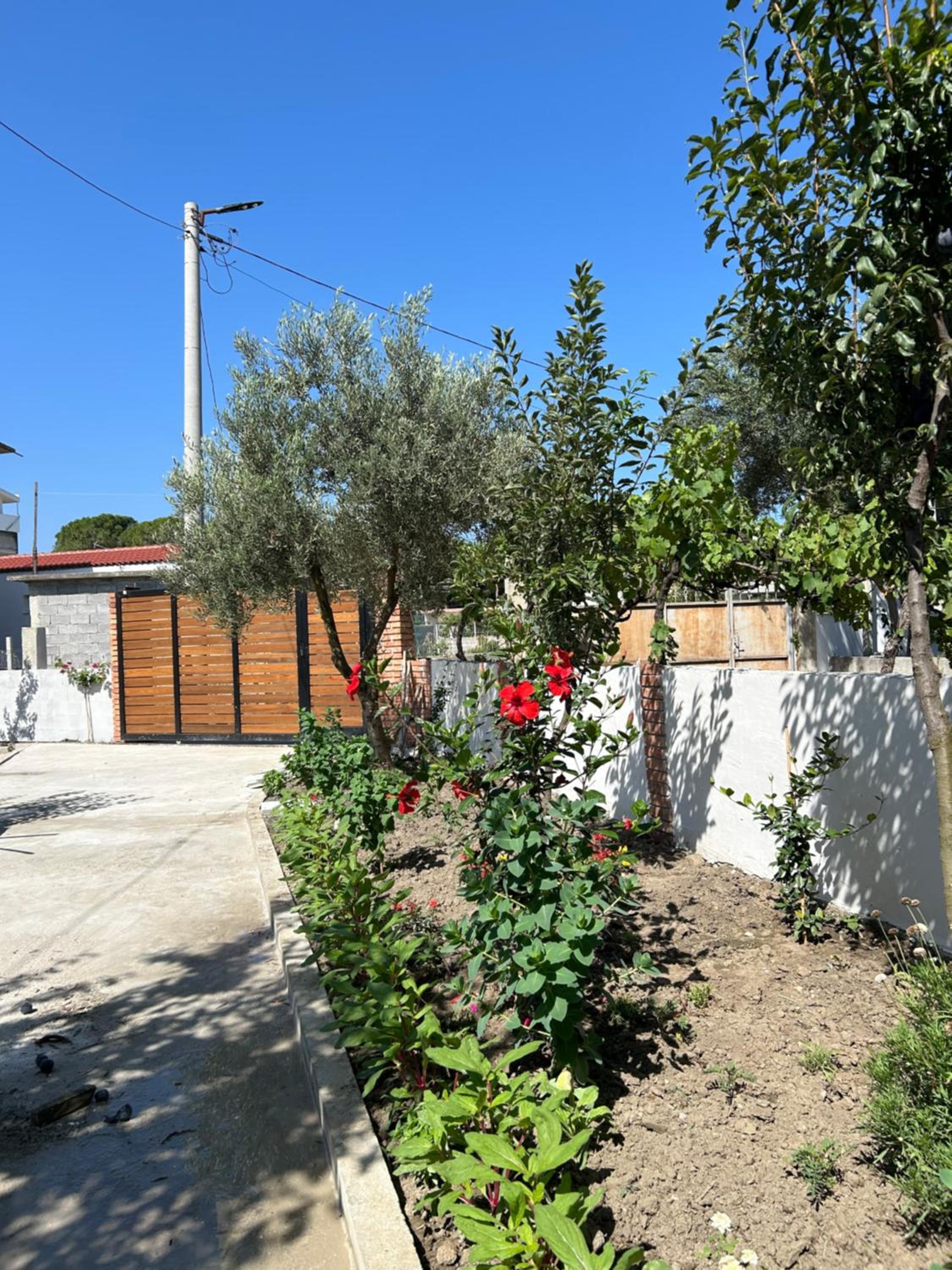 Vila Roan