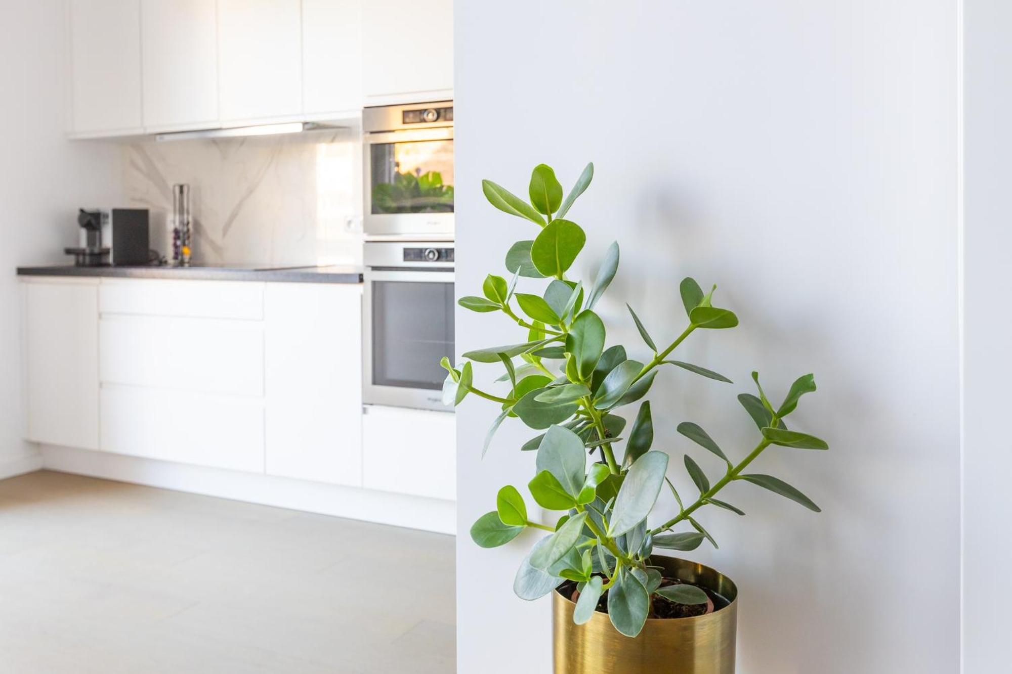 Prachtig appartement aan zee met 2 terrassen - 4p