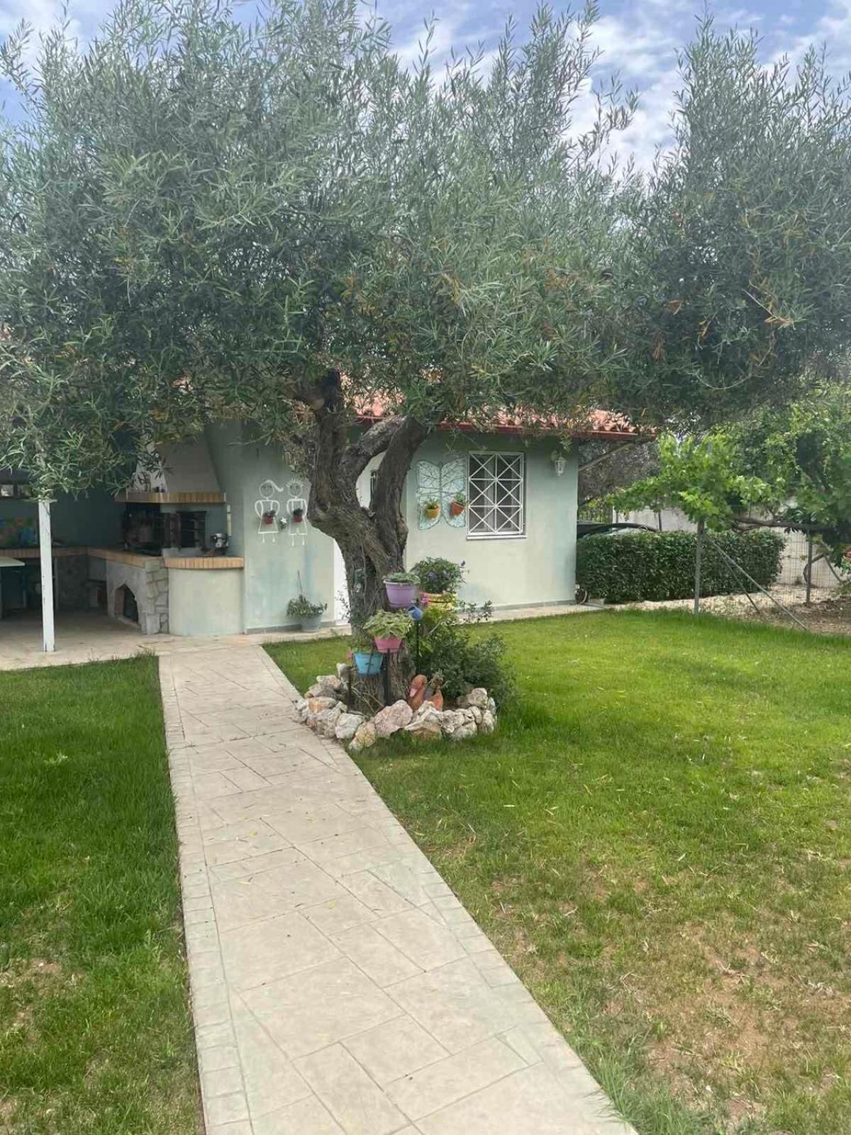 Villa Korina