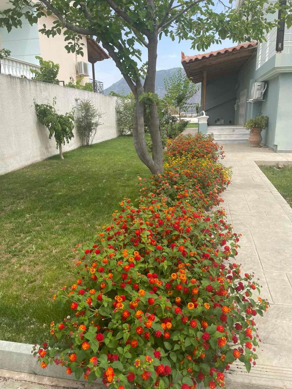 Villa Korina