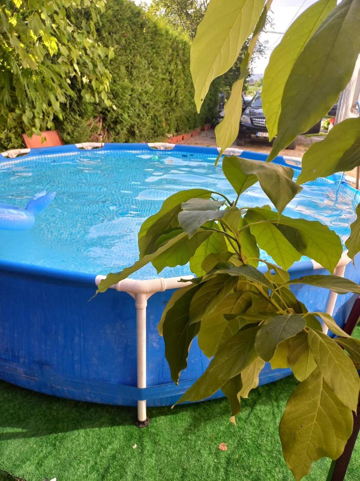 Apartman Varcar