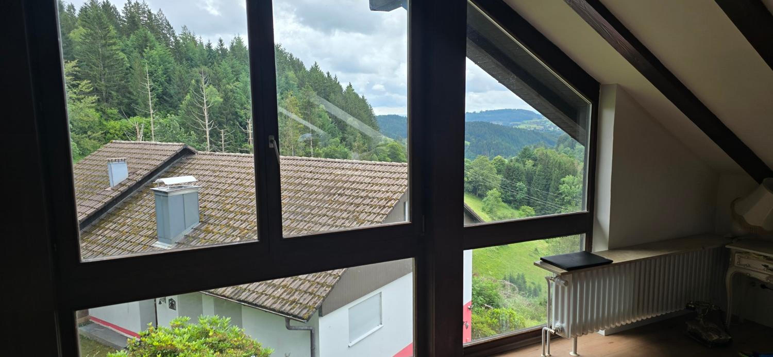 Wohnung im Schwarzwald mit Panorama Blick