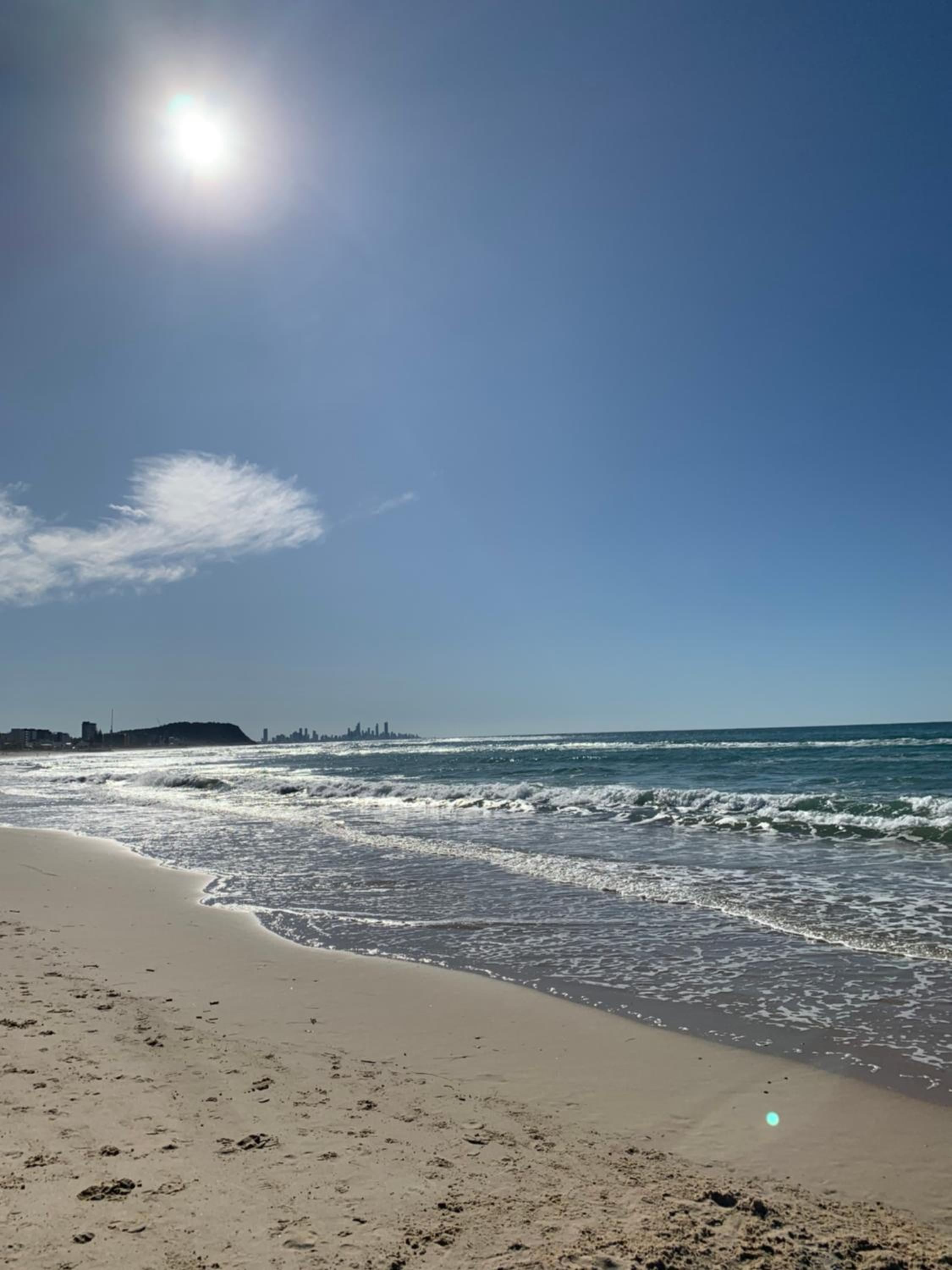 Palmy ocean oasis