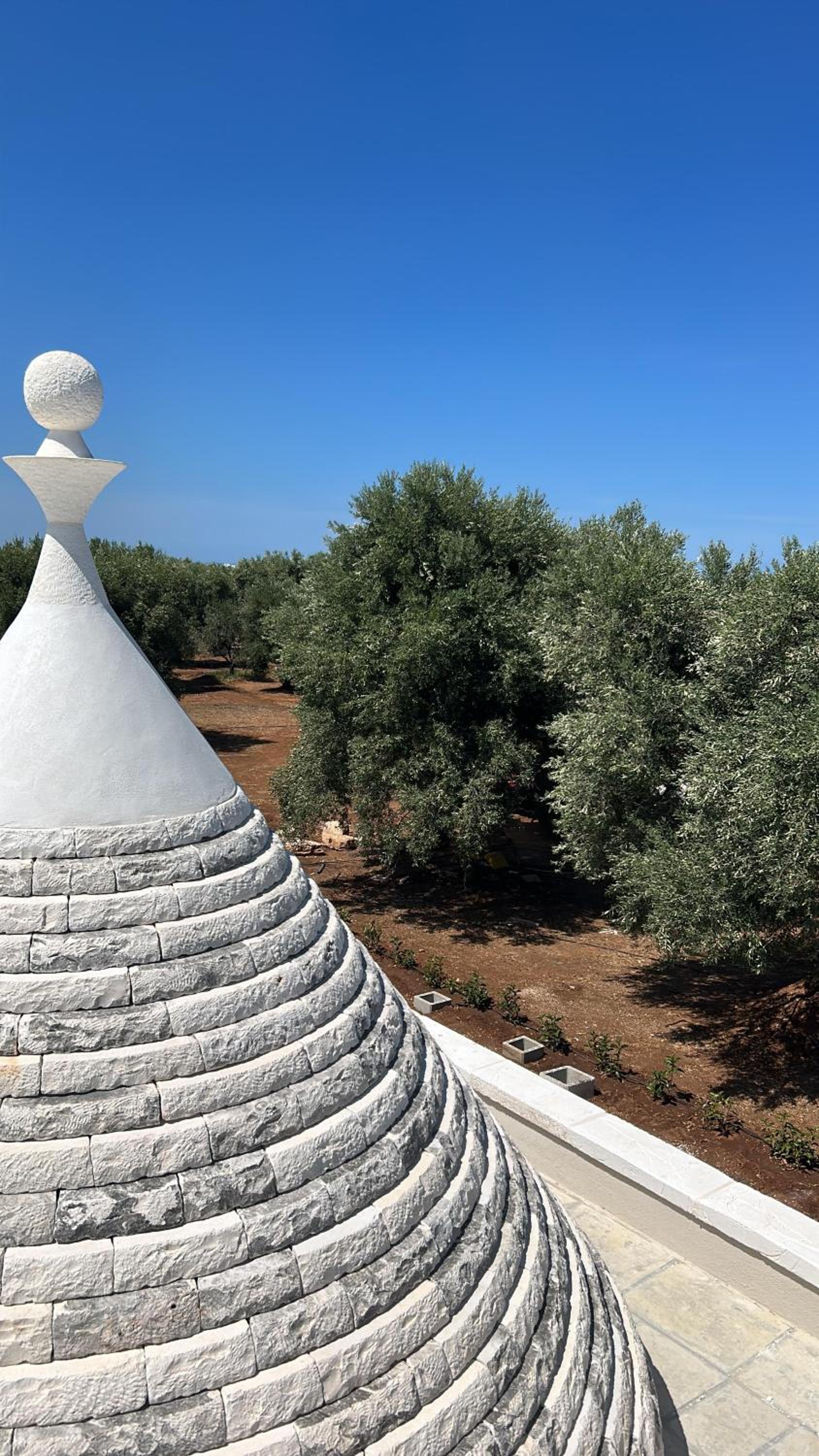 Il Trullo di Bina view 2