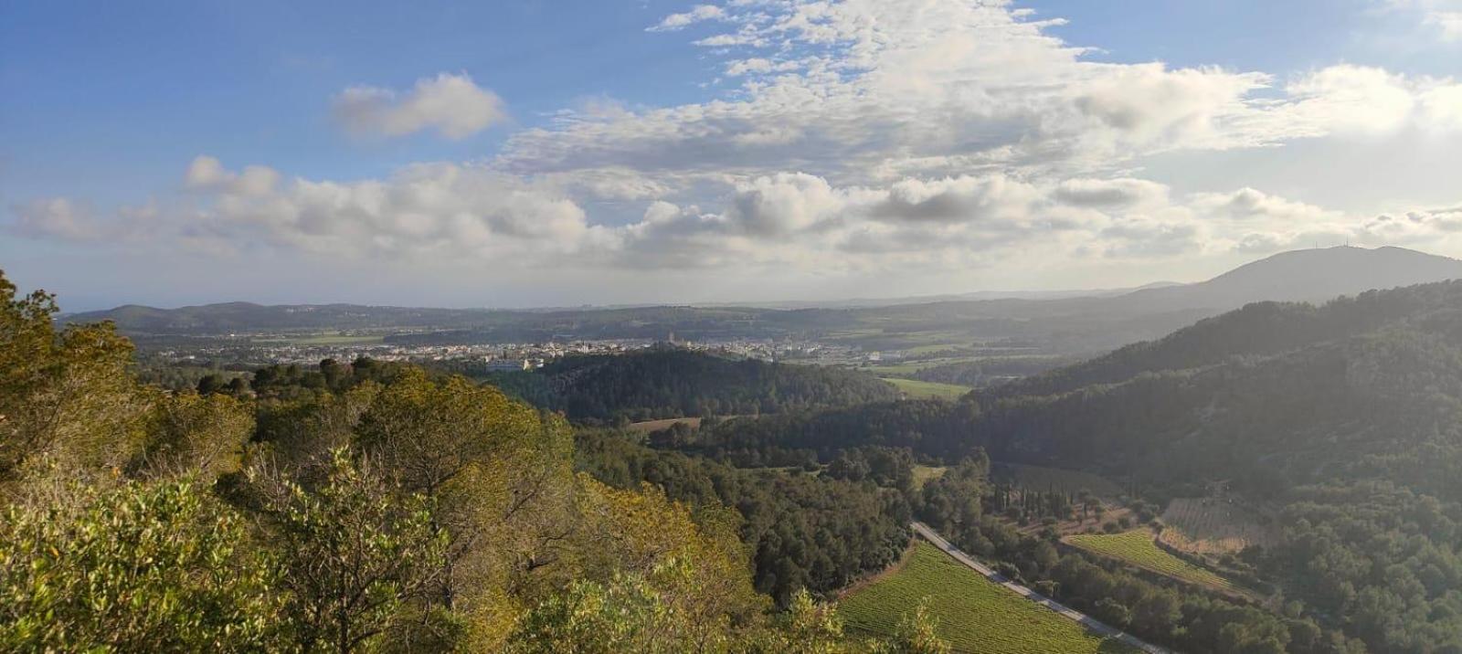 Ànima del Garraf photo 4