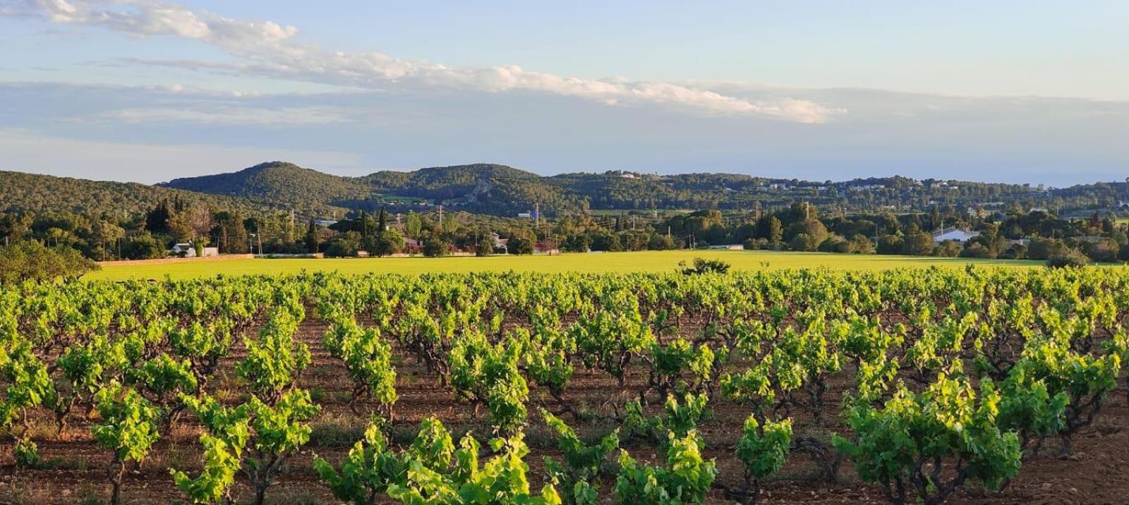 Ànima del Garraf