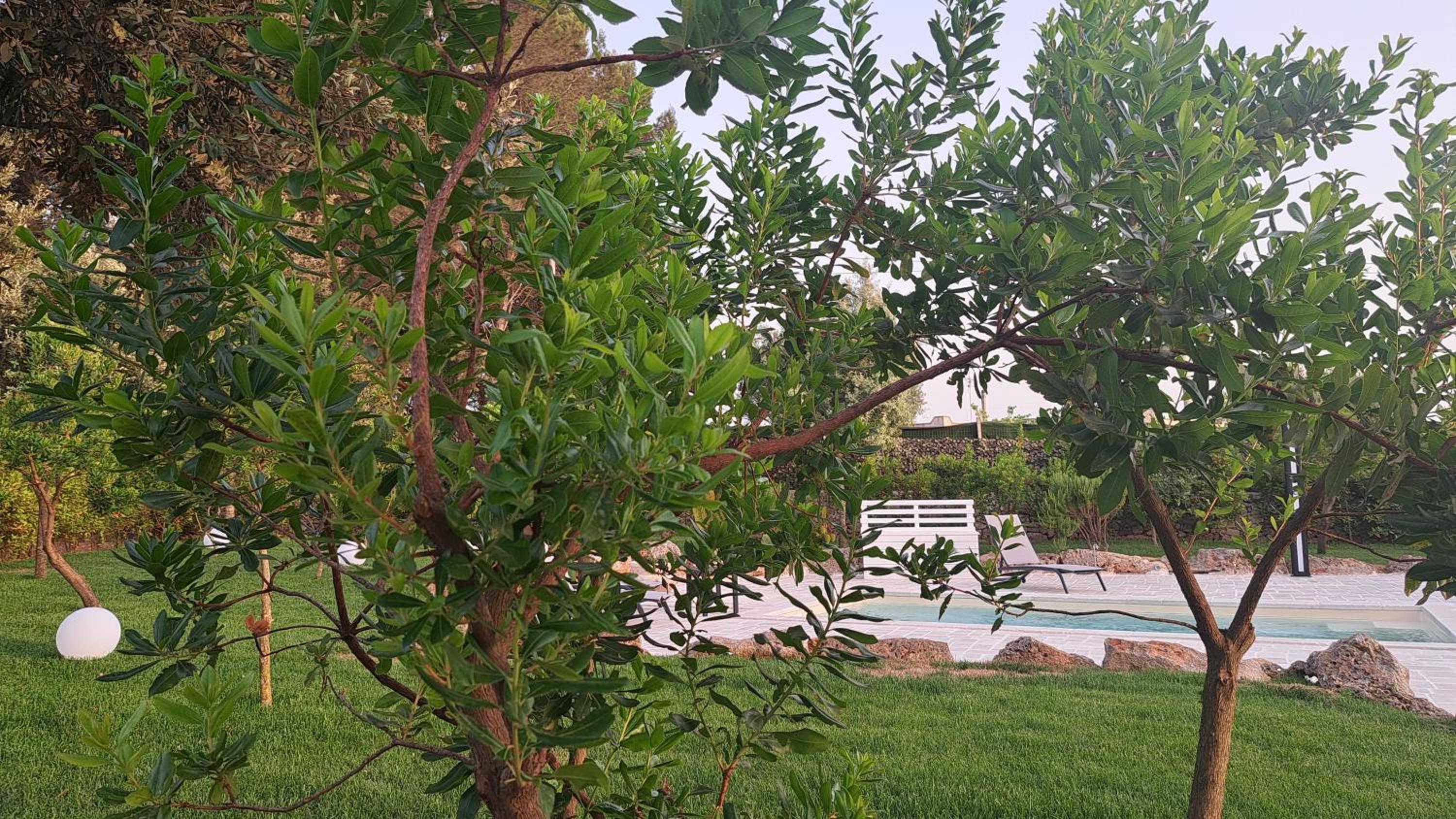 Fogliantica Azienda Agrituristica