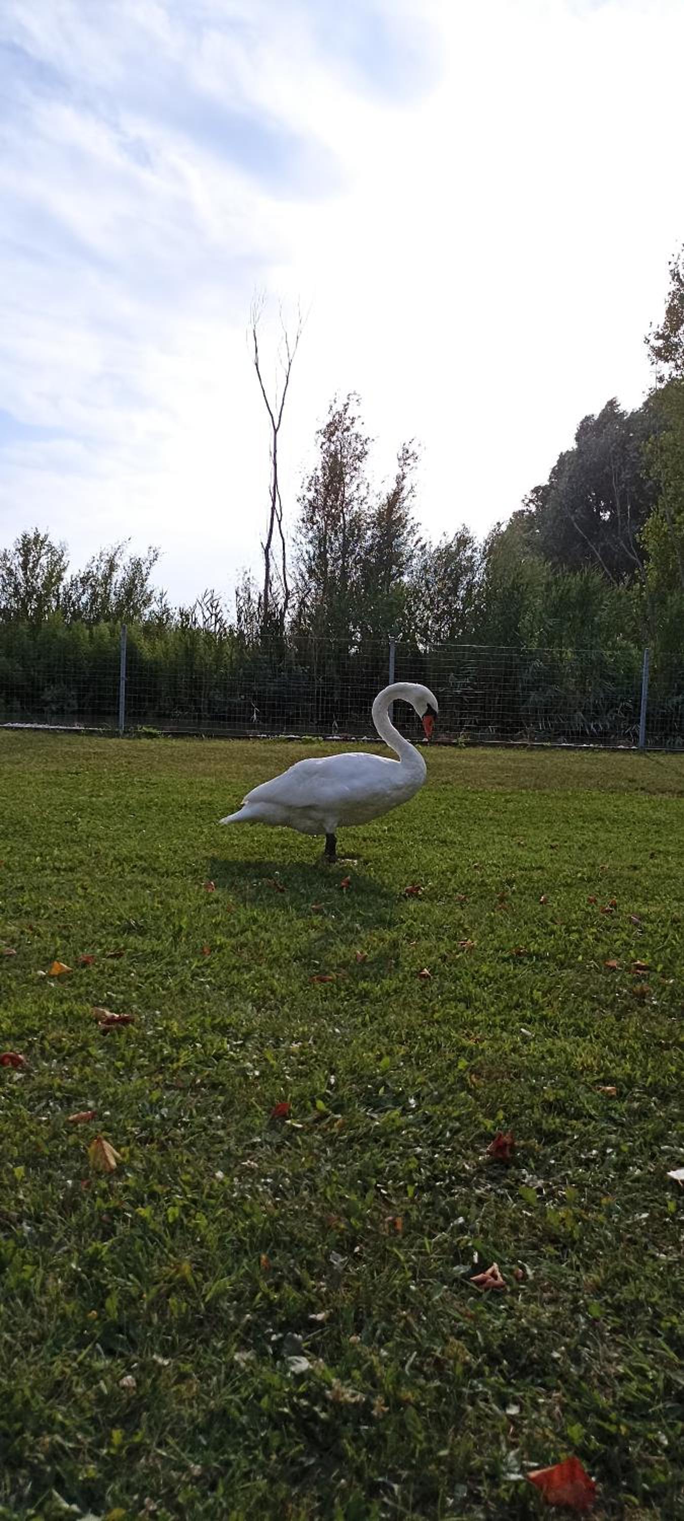 Photo 46