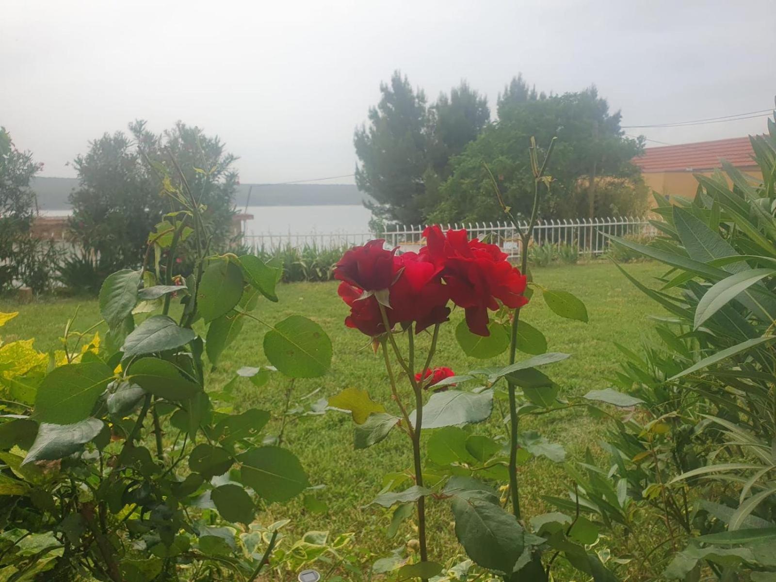 Photo 13